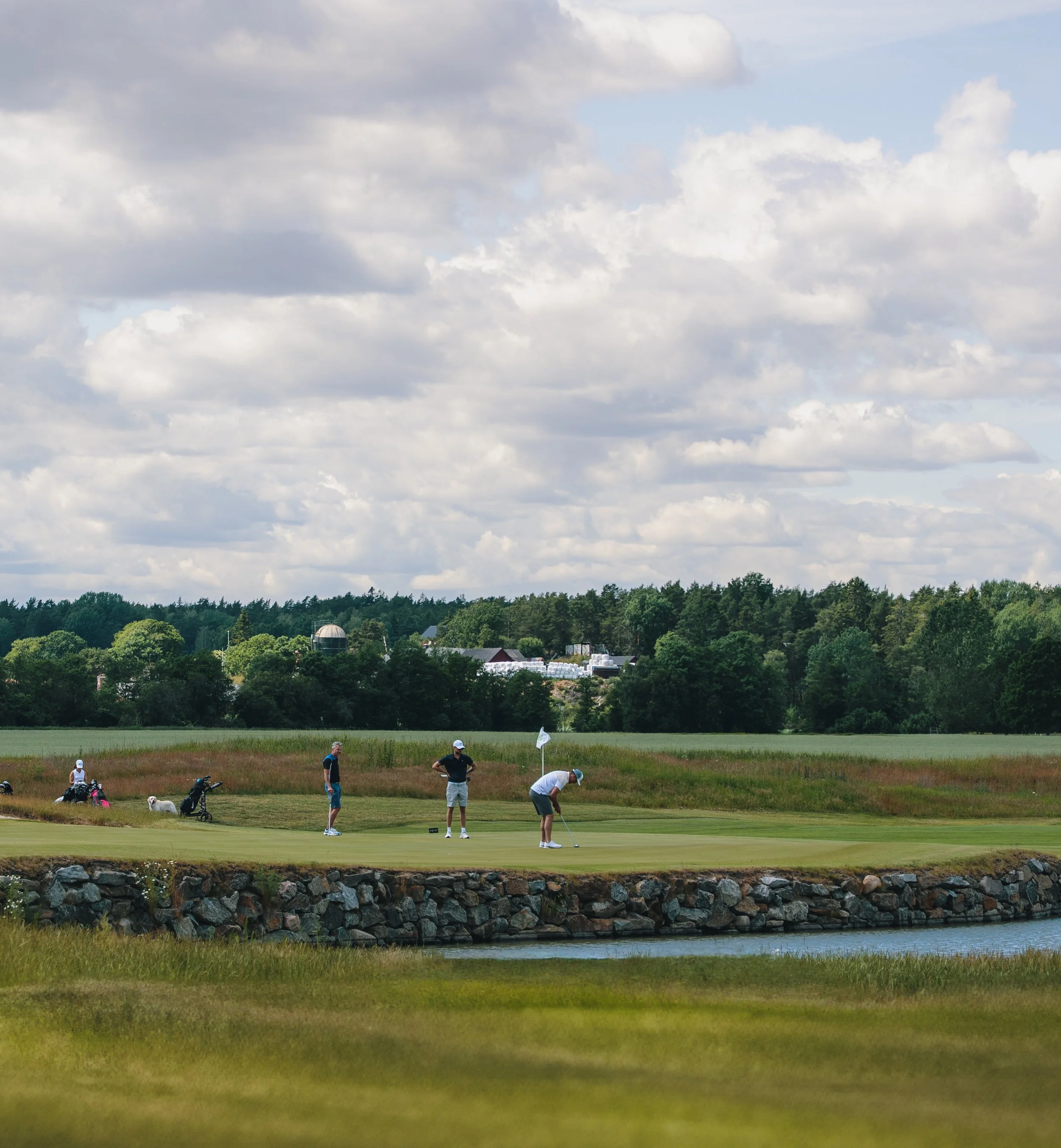 Kampanj i shopen och kölista till medlemskategorier
