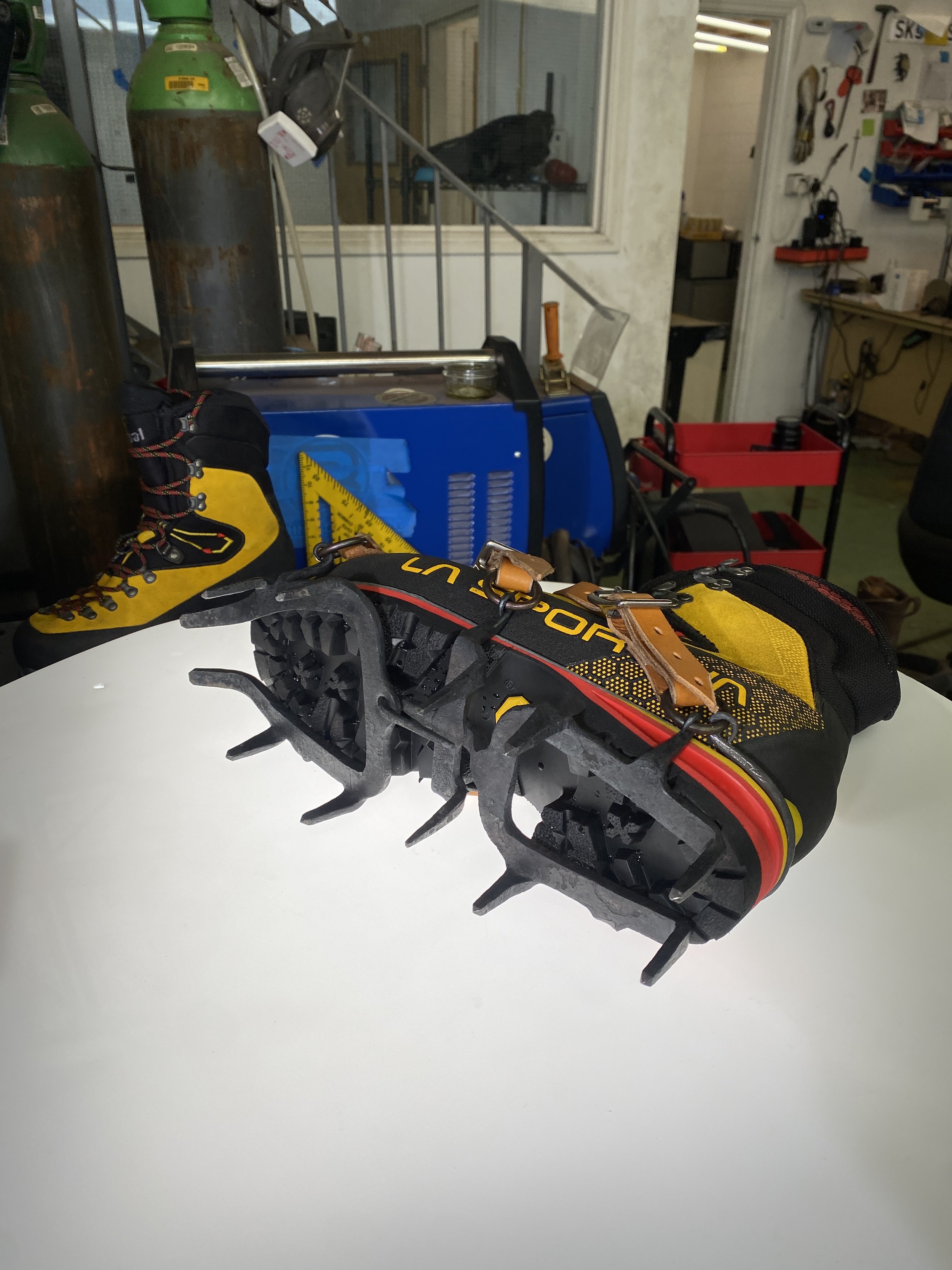 IMG_2372.jpeg