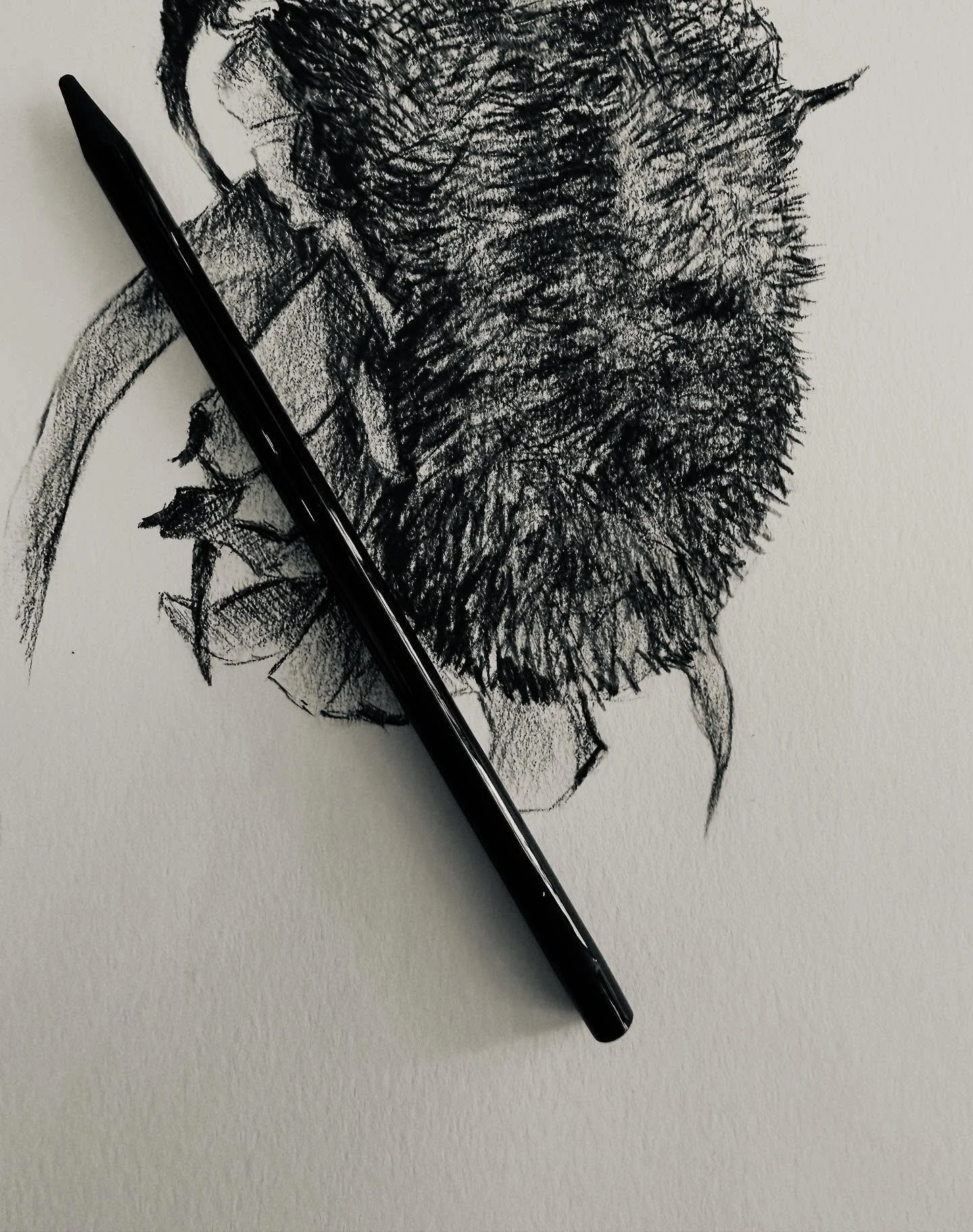 Some days are made for drawing&hellip;
even a dried out sunflower wil do.
 

#renescribanteliftstudio #renescribante #drawing #charcoaldrawings  #womanartists #sunflowerdrawing