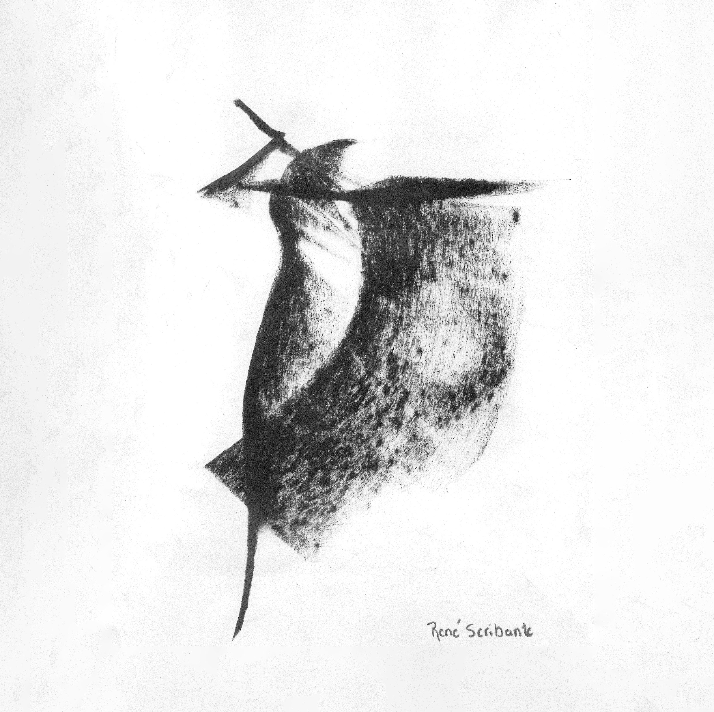 Music,-Dance,-Art-Flow--VII---210x210---Charcoal-on-Paper---sold_edit.jpg