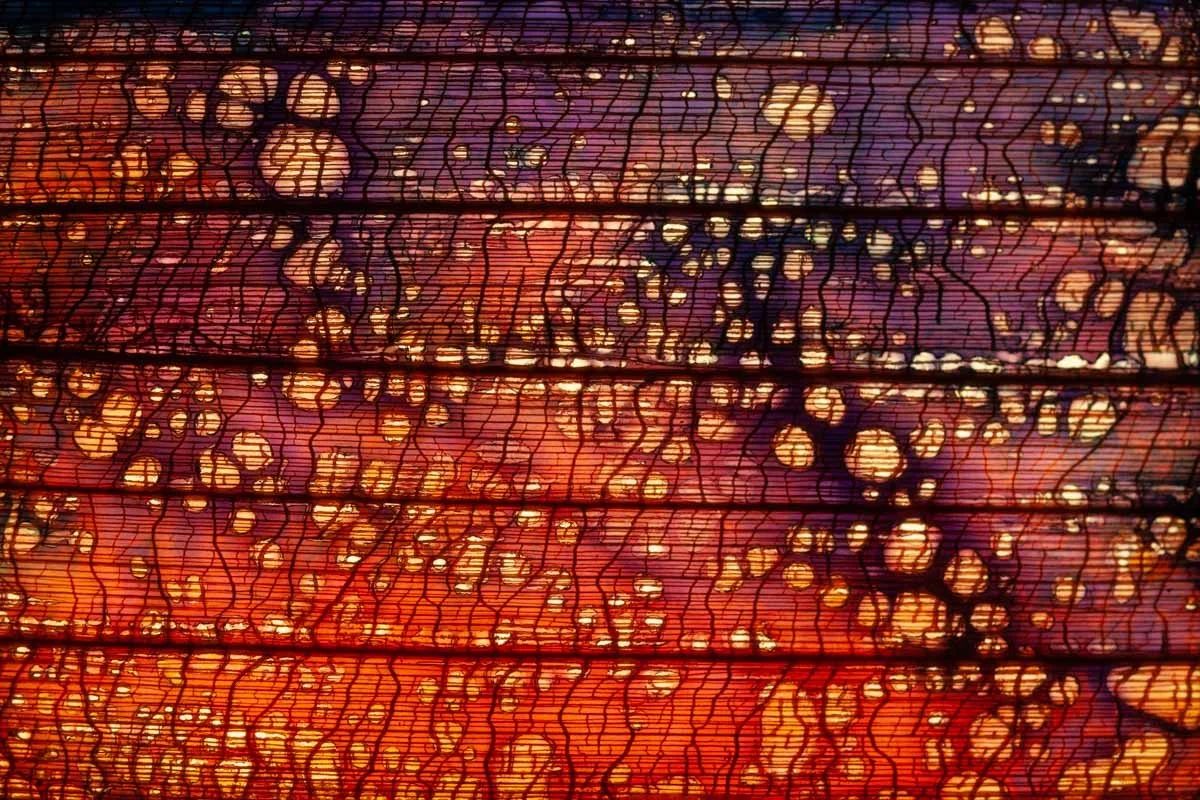 Mikrolux Lichtinstallation