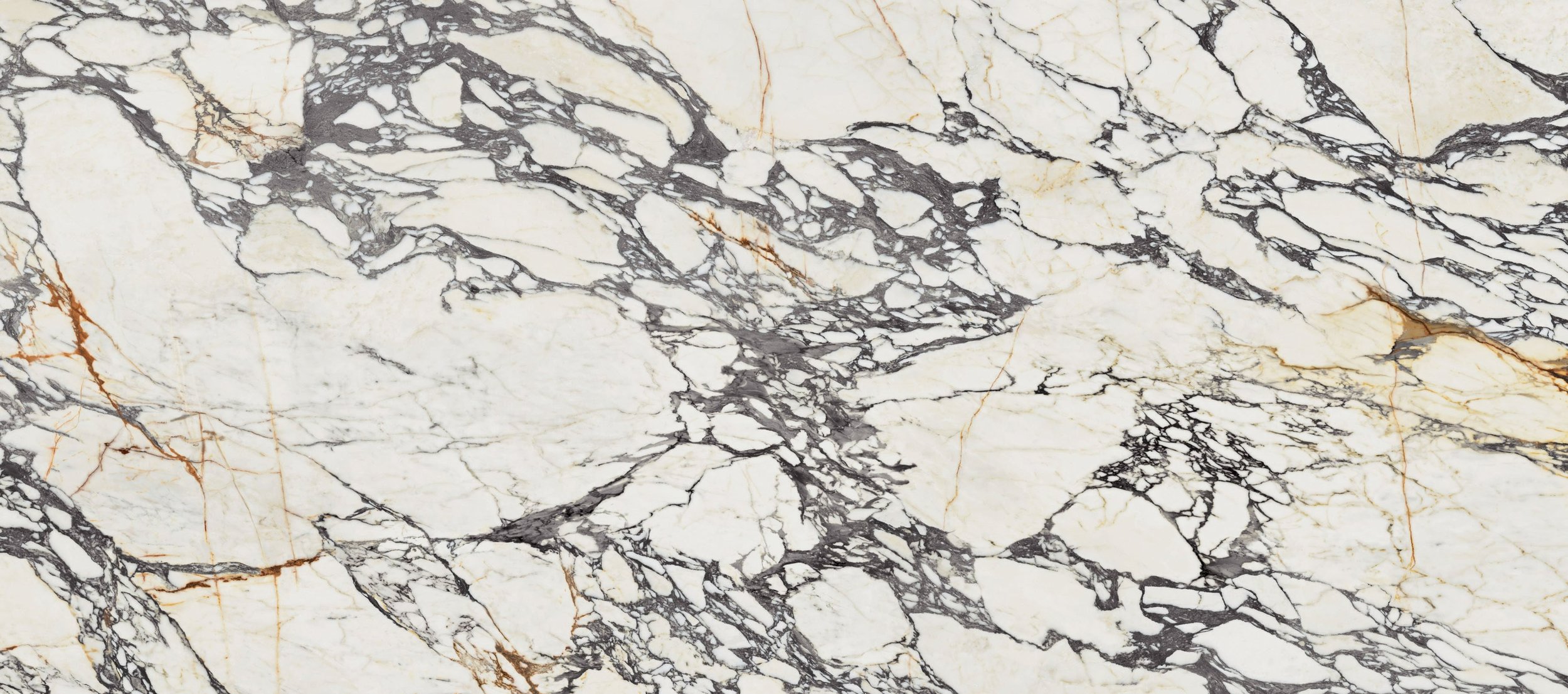 Corchia+Gold+120x280_01+%282%29.jpg