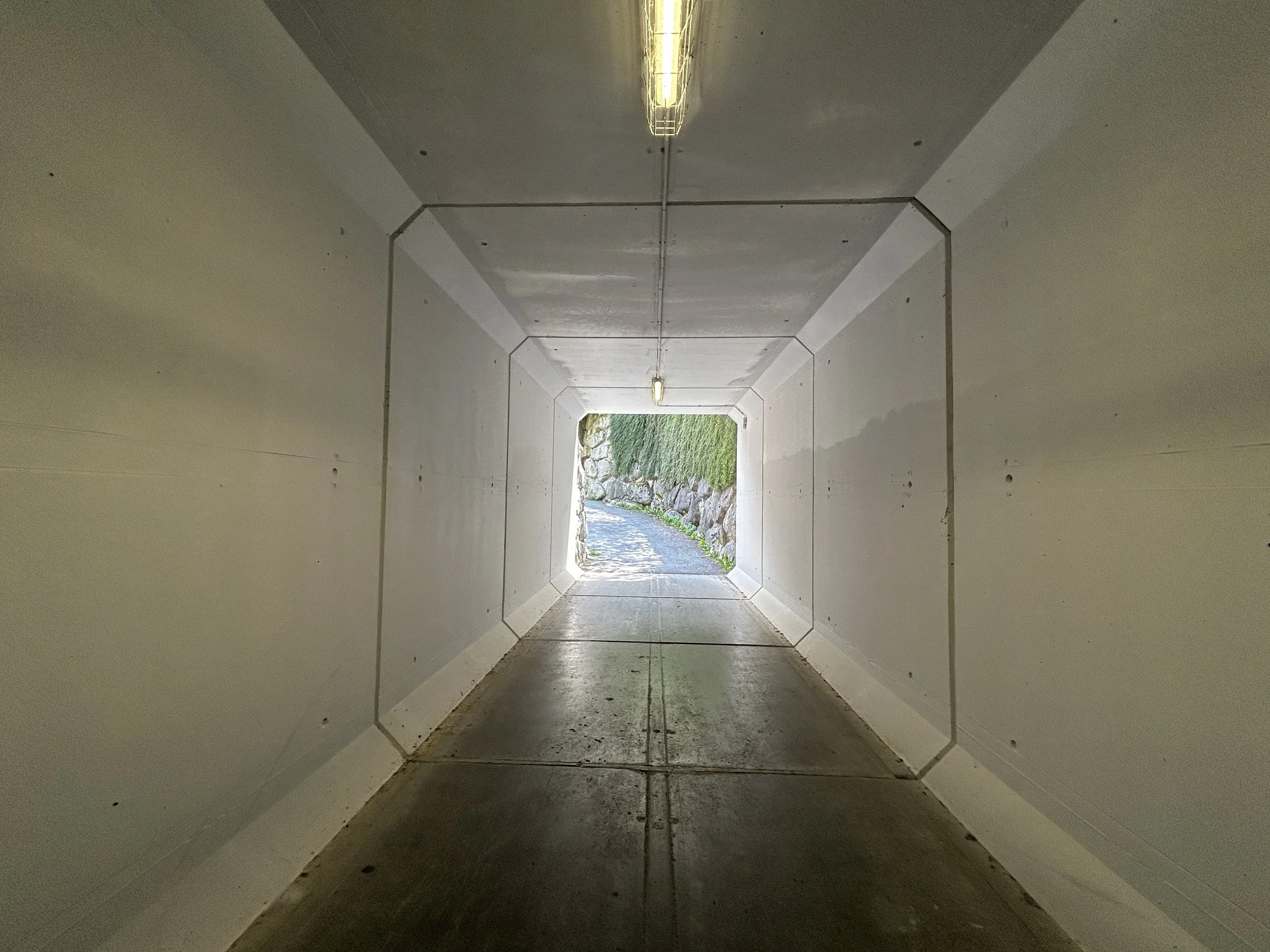 LOC_804_TUNNEL_08.JPG