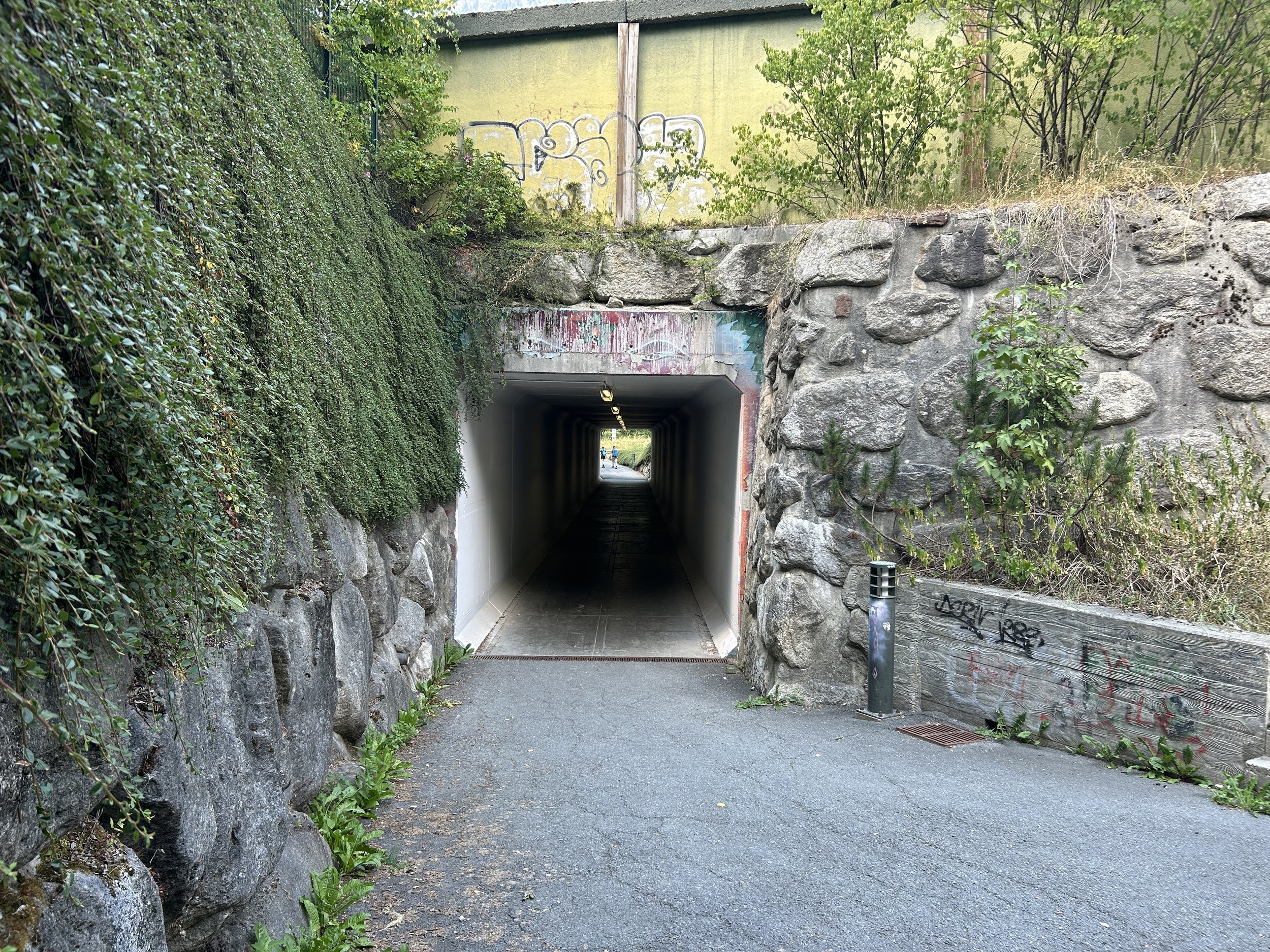 LOC_804_TUNNEL_10.JPG