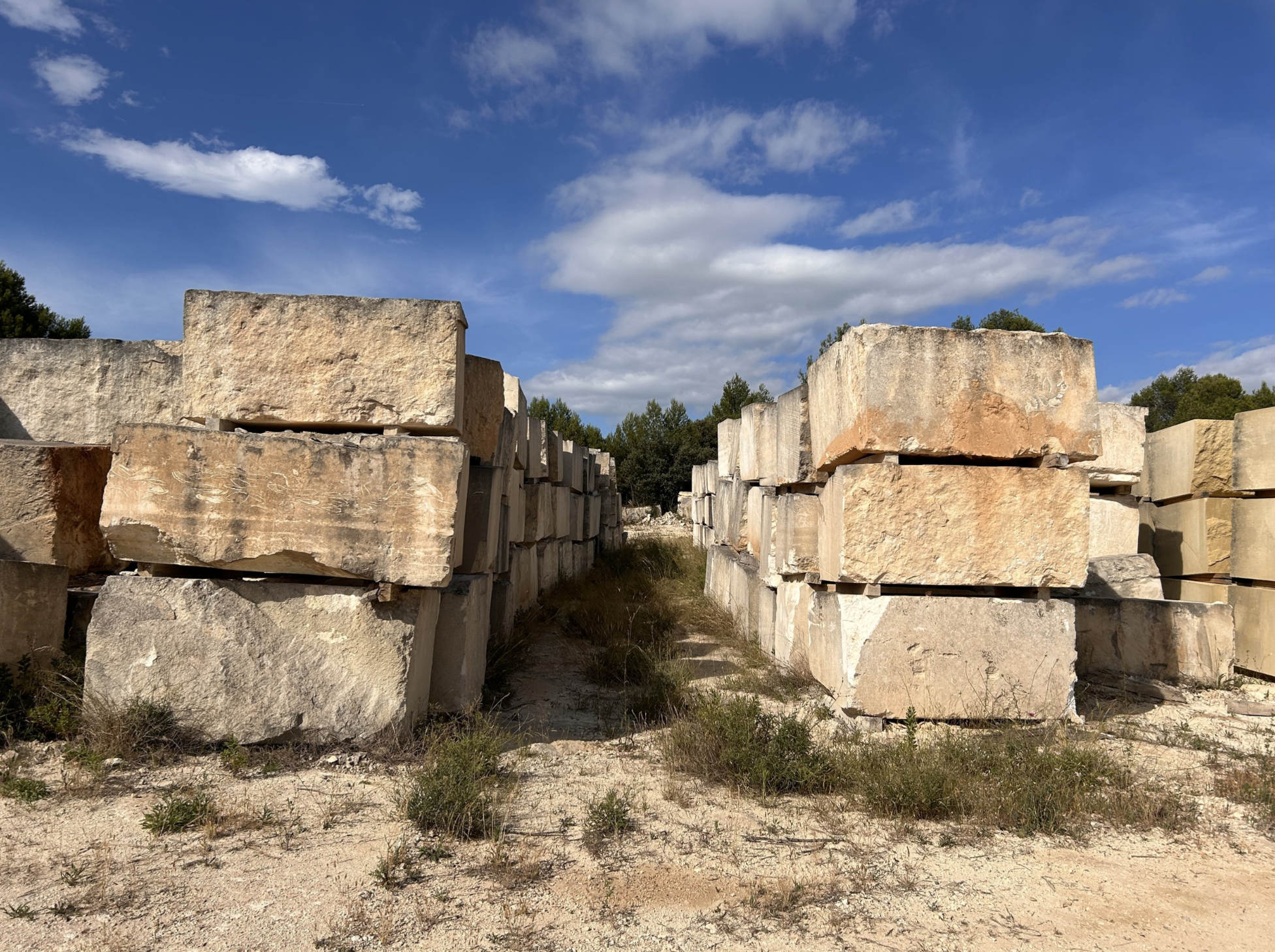 Capture d’écran 2024-11-29 à 14.01.40.png