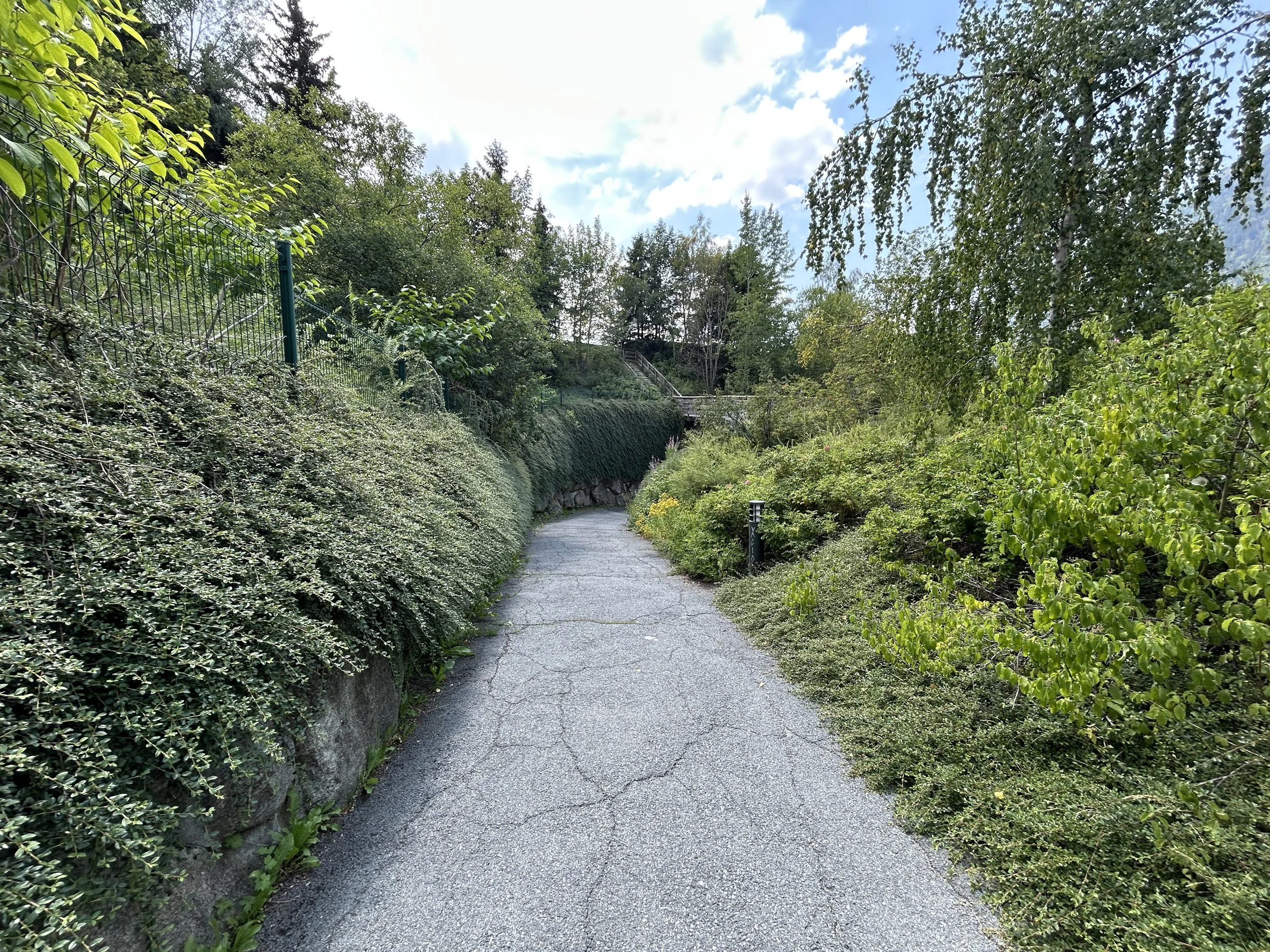 LOC_804_TUNNEL_19.JPG