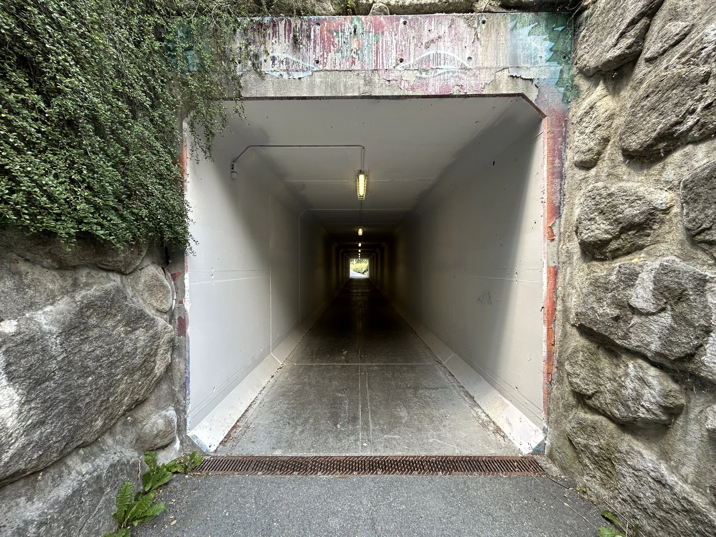 LOC_804_TUNNEL_11.JPG