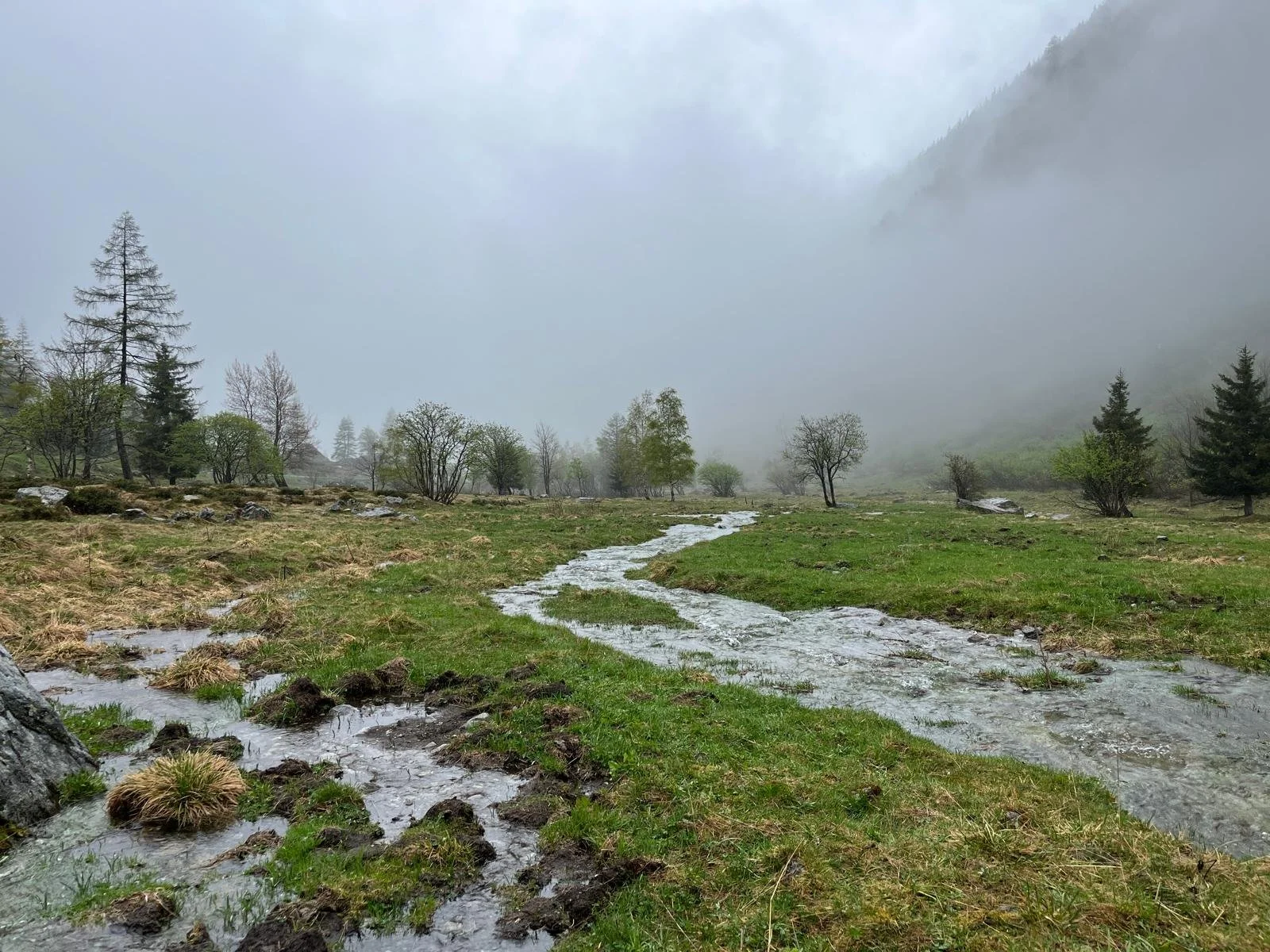  ALPS_FILMS_LOC_219_001.png