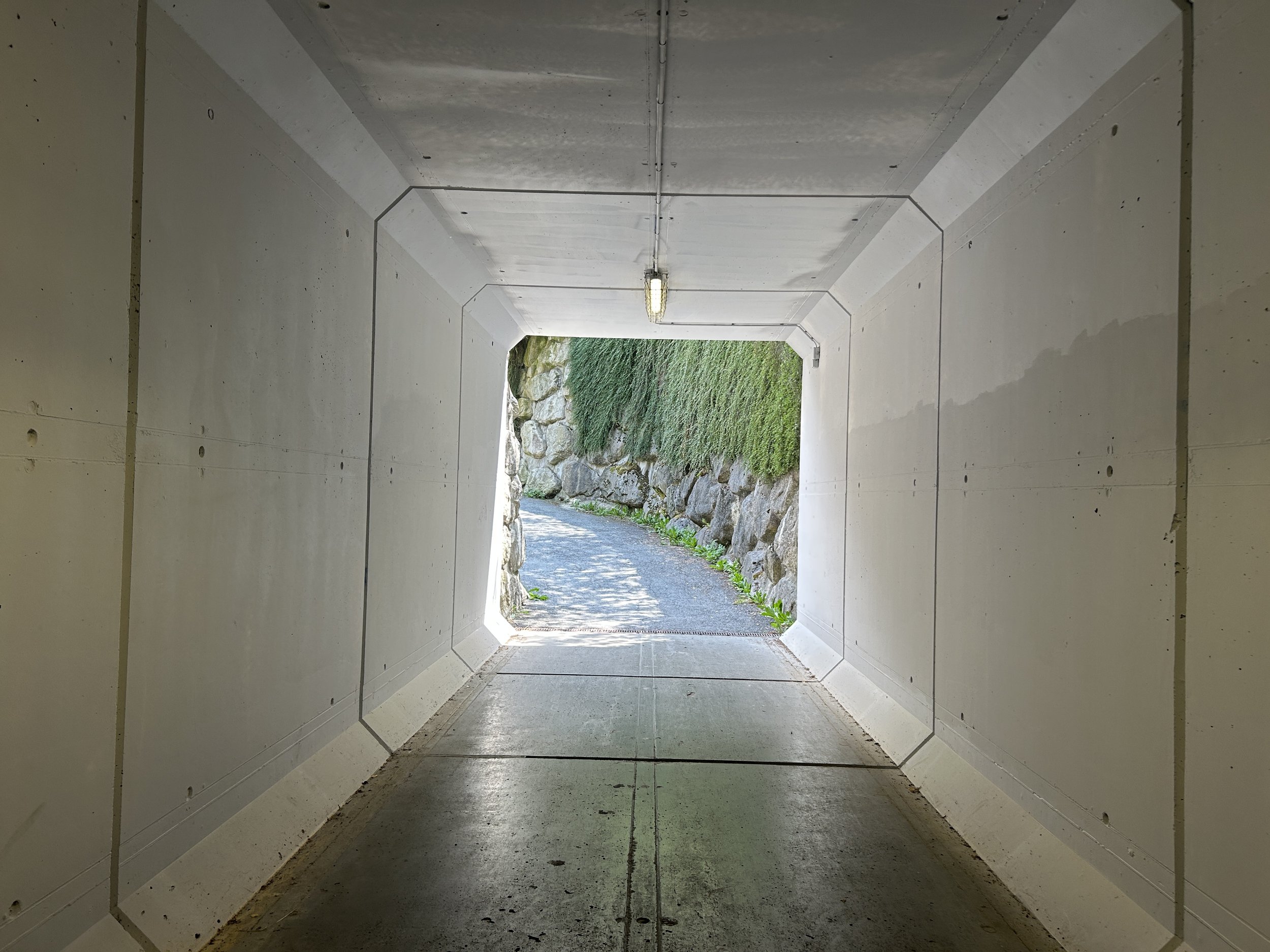 LOC_804_TUNNEL_07.JPG