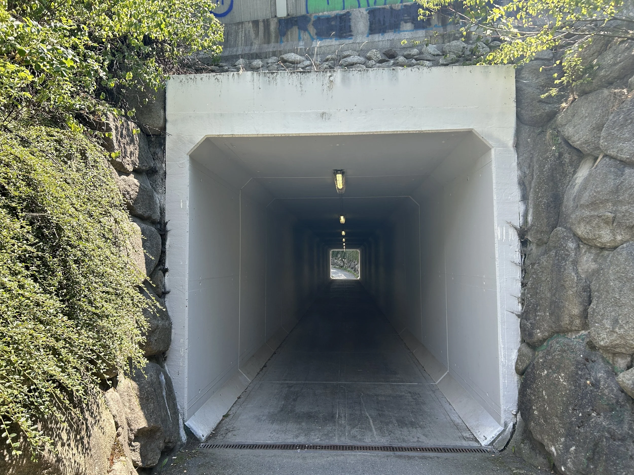 LOC_804_TUNNEL_04.JPG