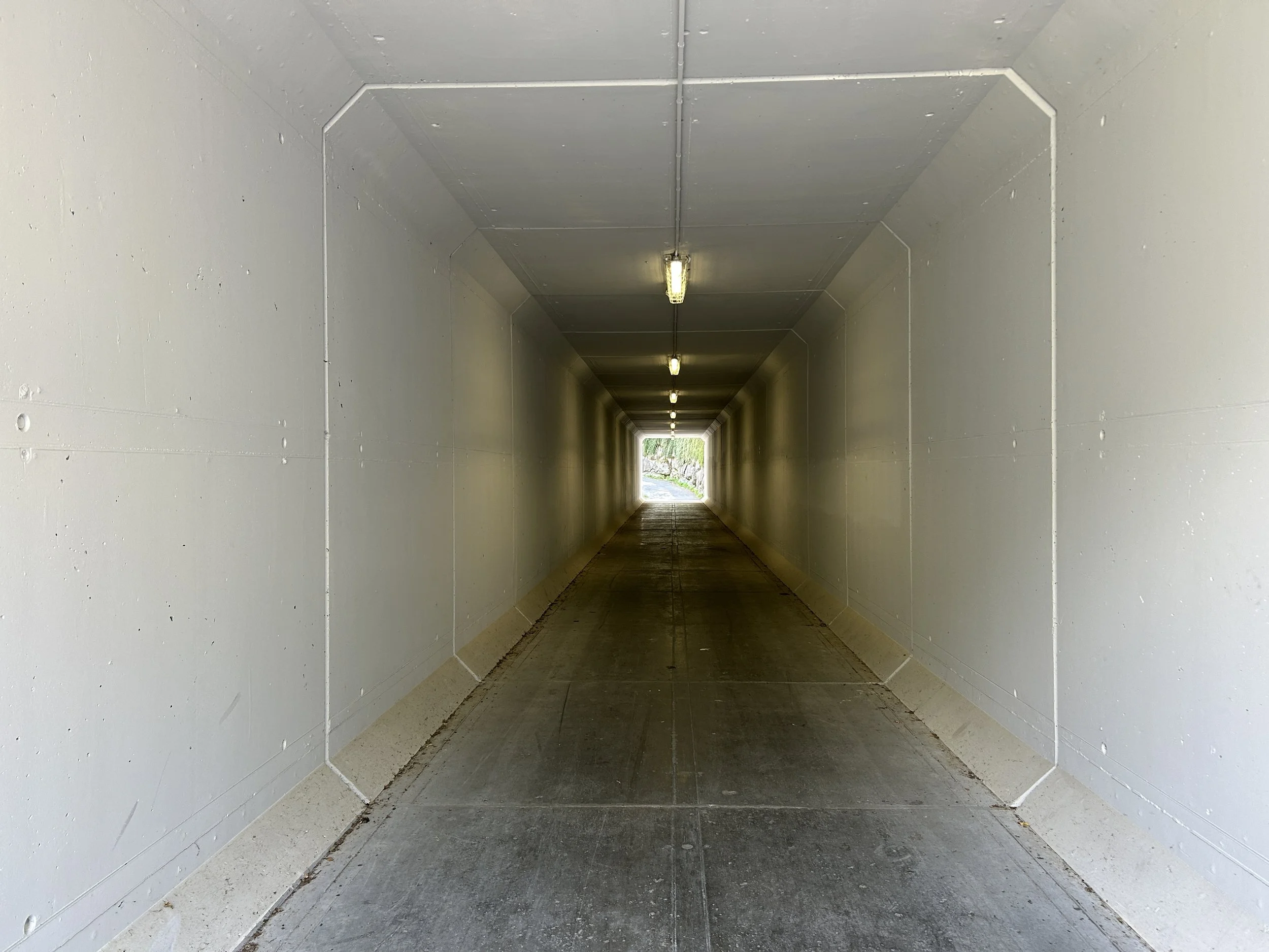 LOC_804_TUNNEL_06.JPG