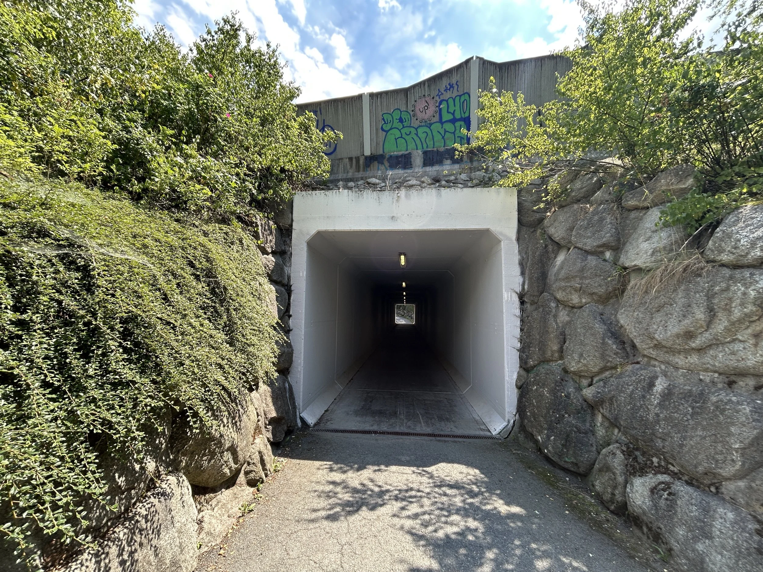 LOC_804_TUNNEL_05.JPG