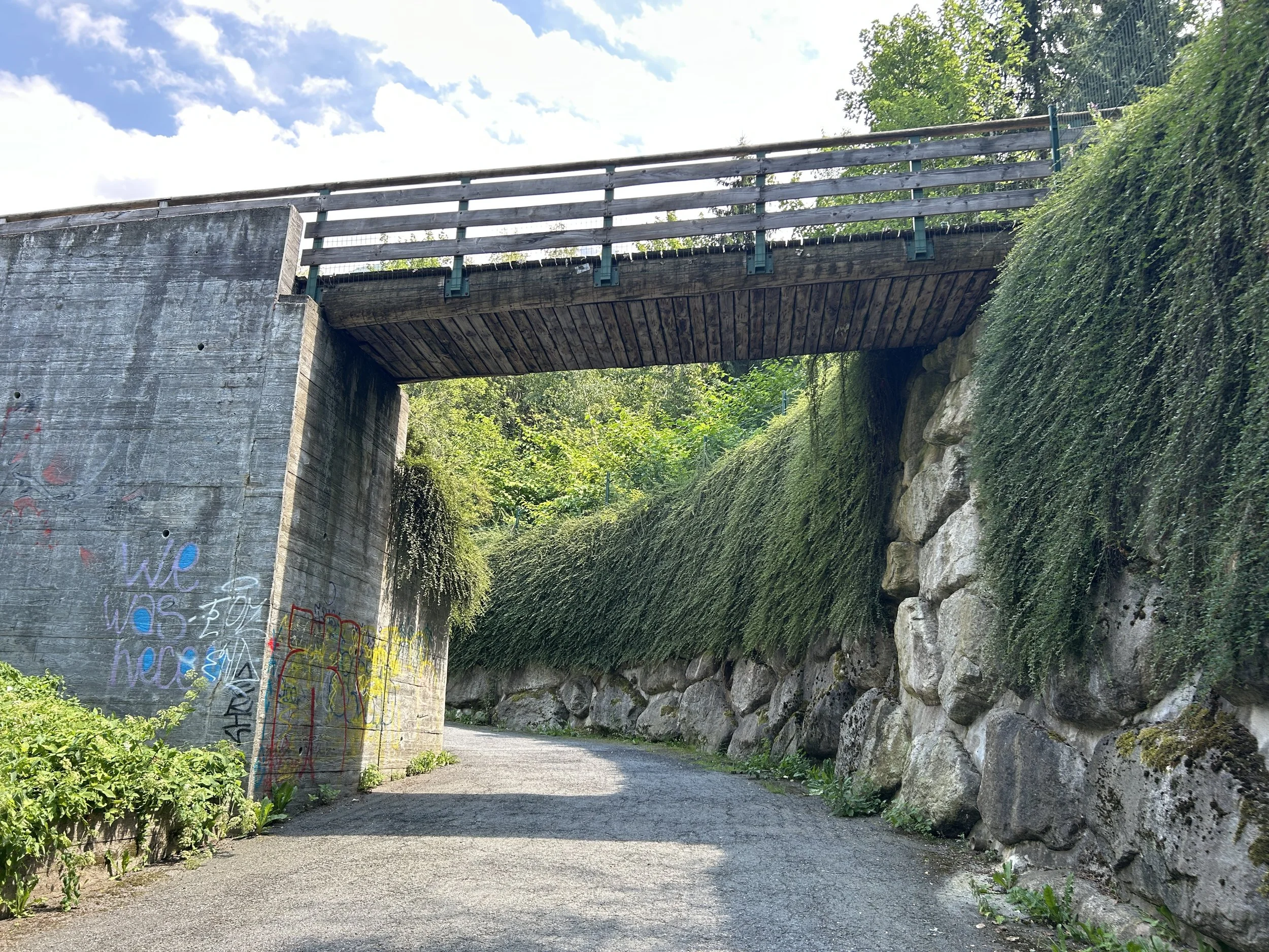LOC_804_TUNNEL_35.JPG