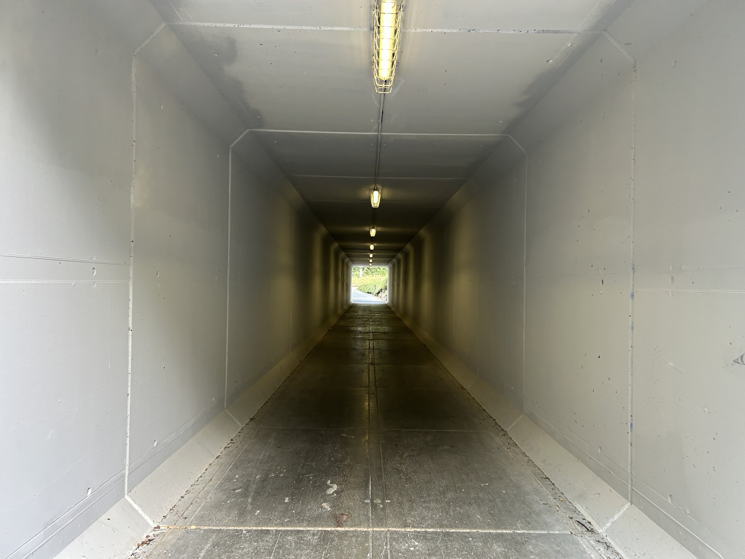 LOC_804_TUNNEL_12.JPG