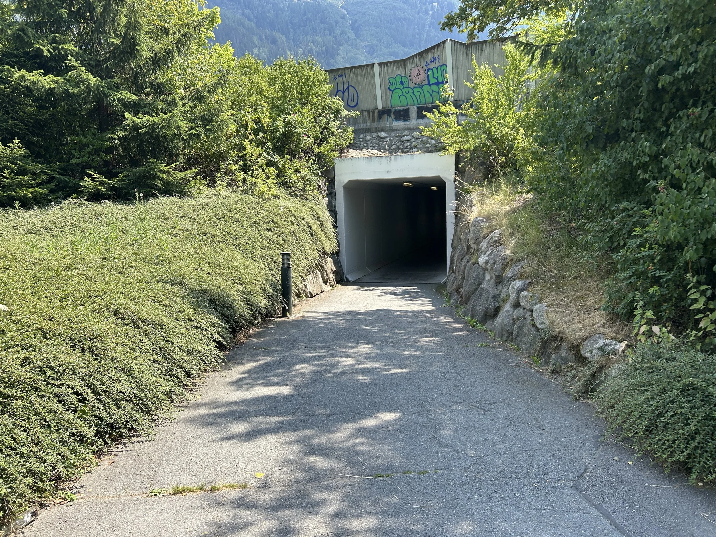 LOC_804_TUNNEL_03.JPG