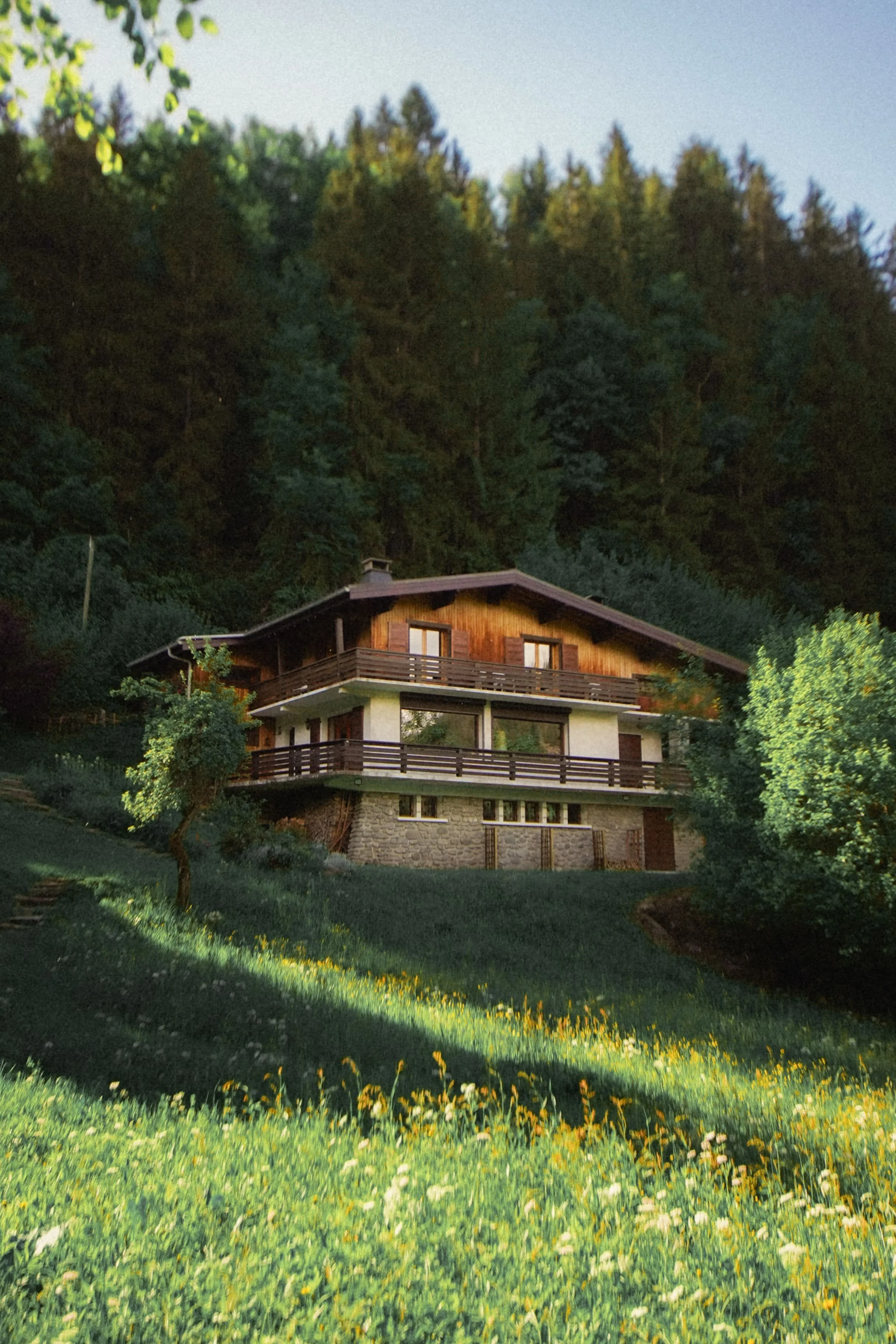 ALPS_FILMS_LOC_612_Chalet_Vintage036.jpg