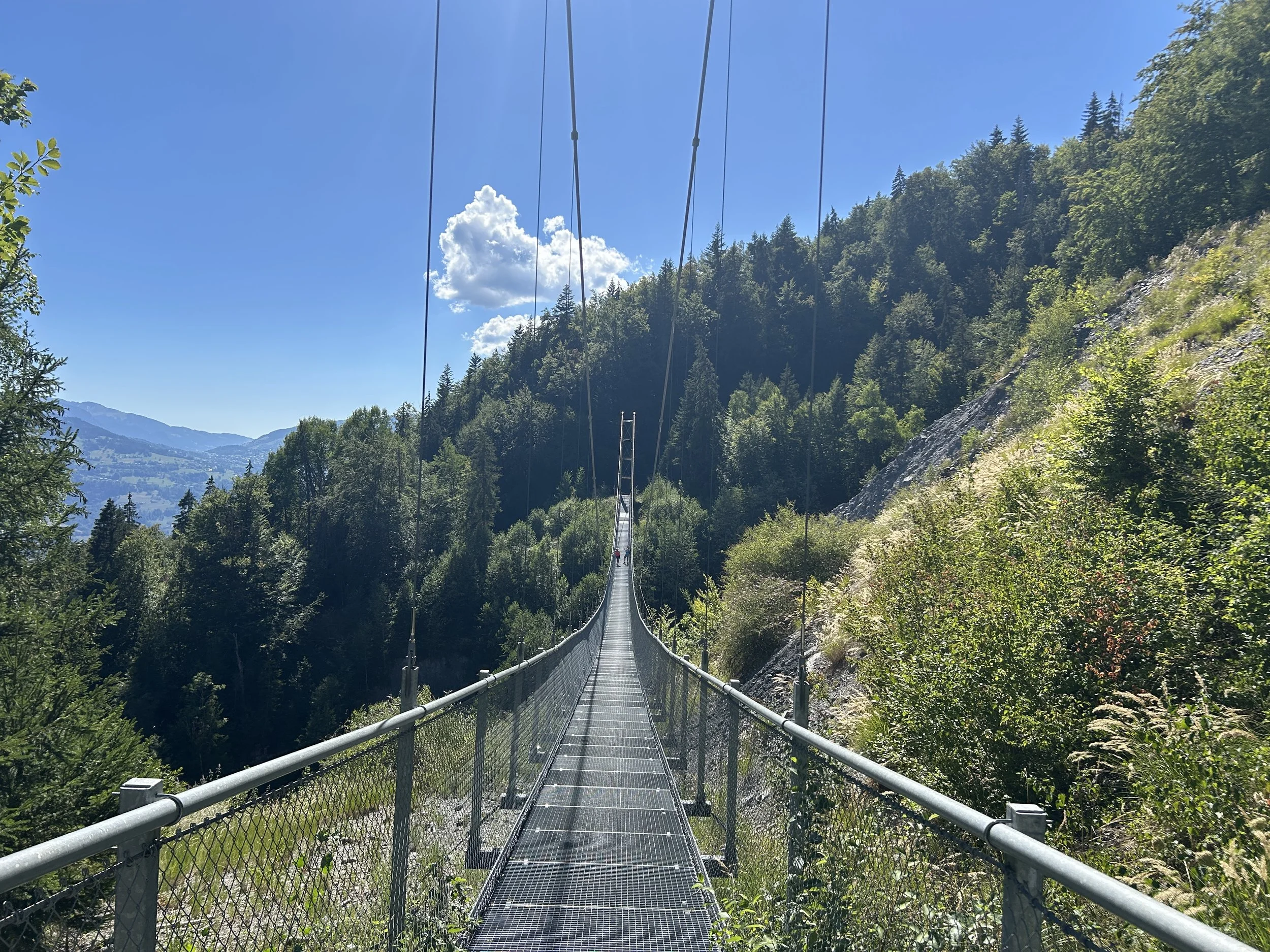 ALPS_FILMS_LOC_820_023.jpg