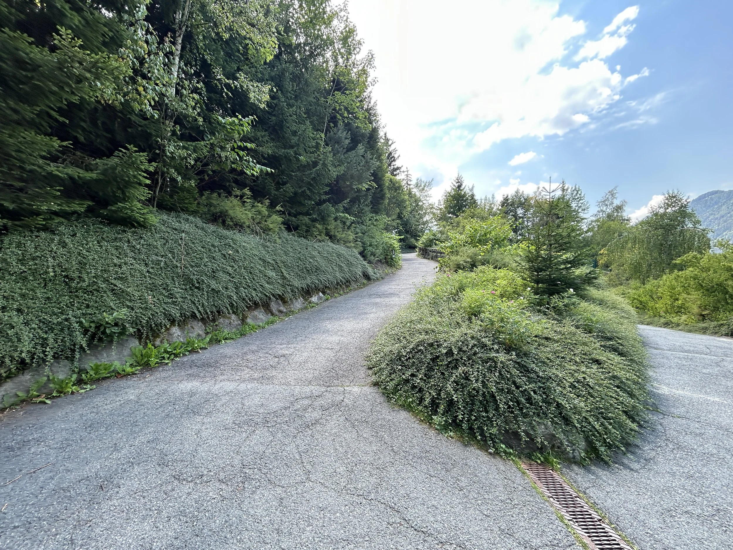 LOC_804_TUNNEL_23.JPG