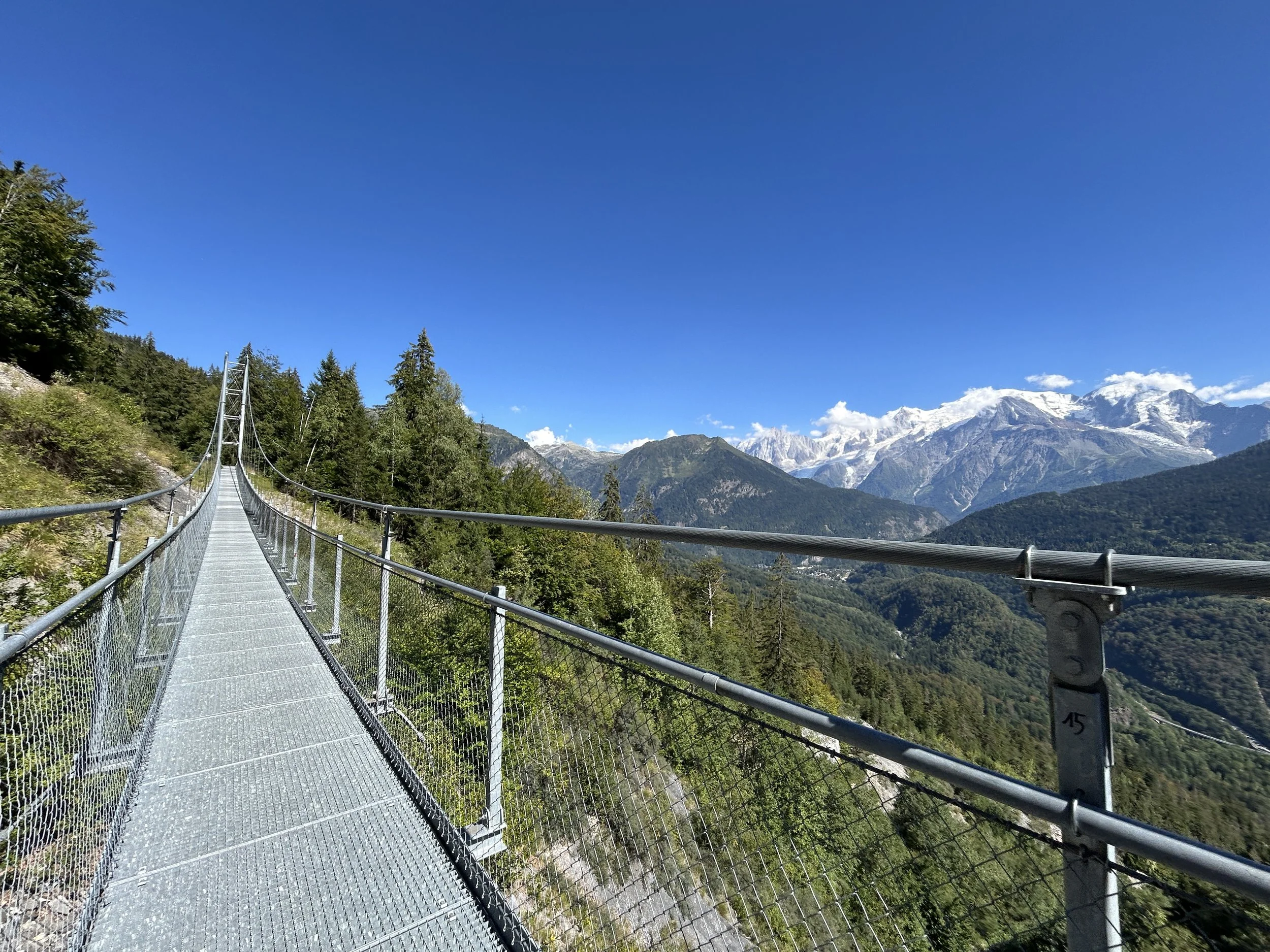 ALPS_FILMS_LOC_820_018.jpg