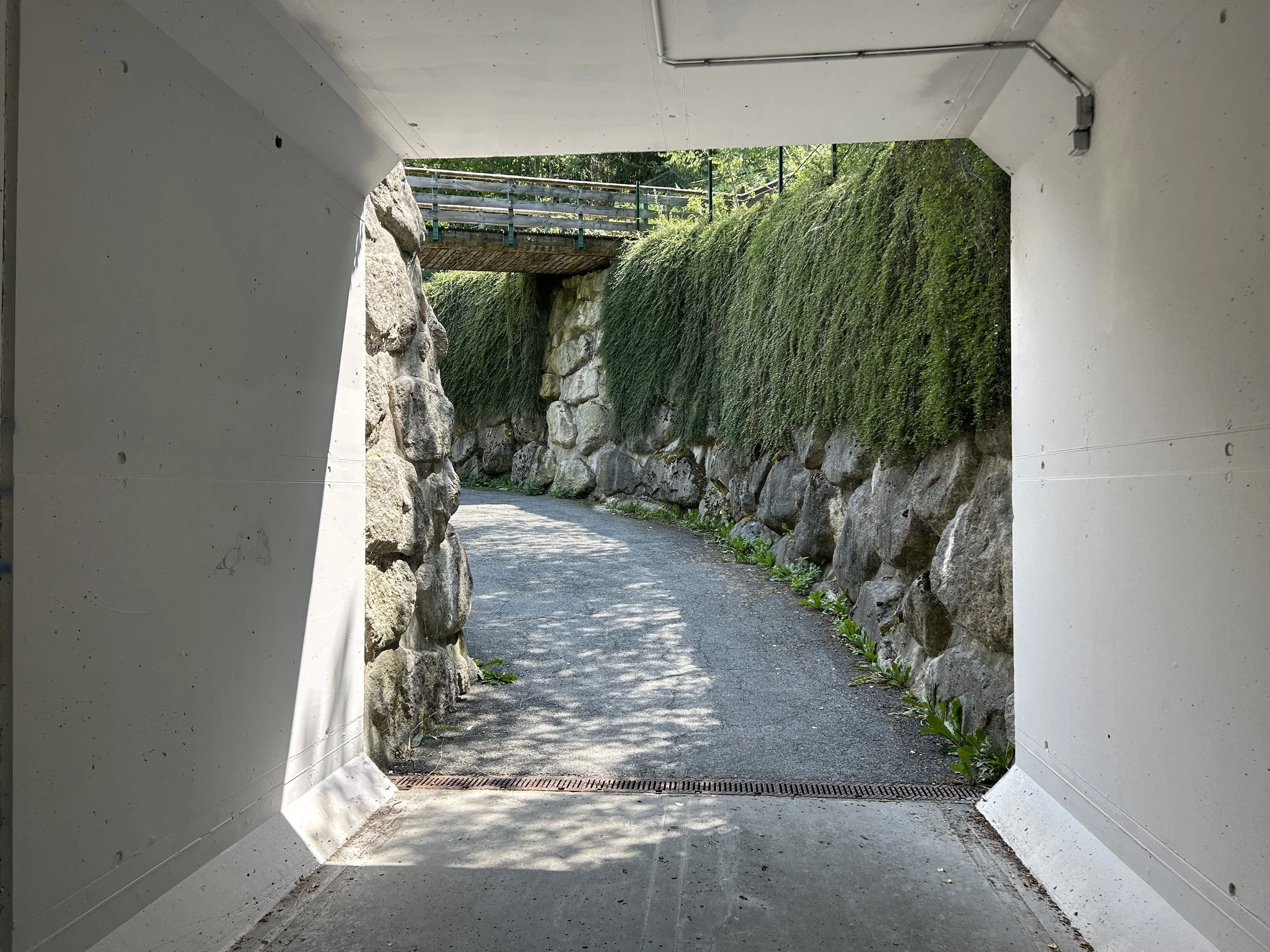 LOC_804_TUNNEL_8bis.JPG