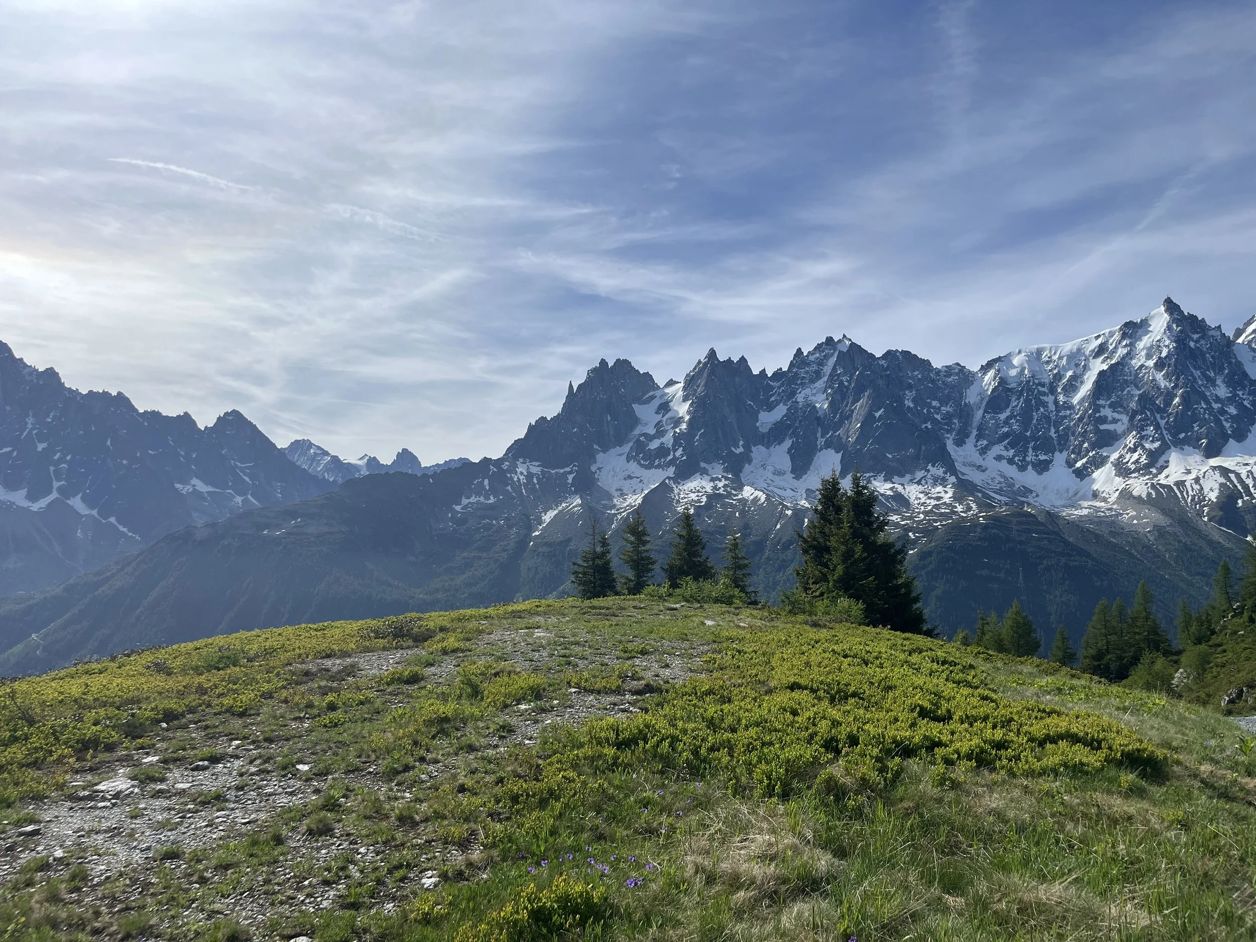 LOC-204B_9.JPG