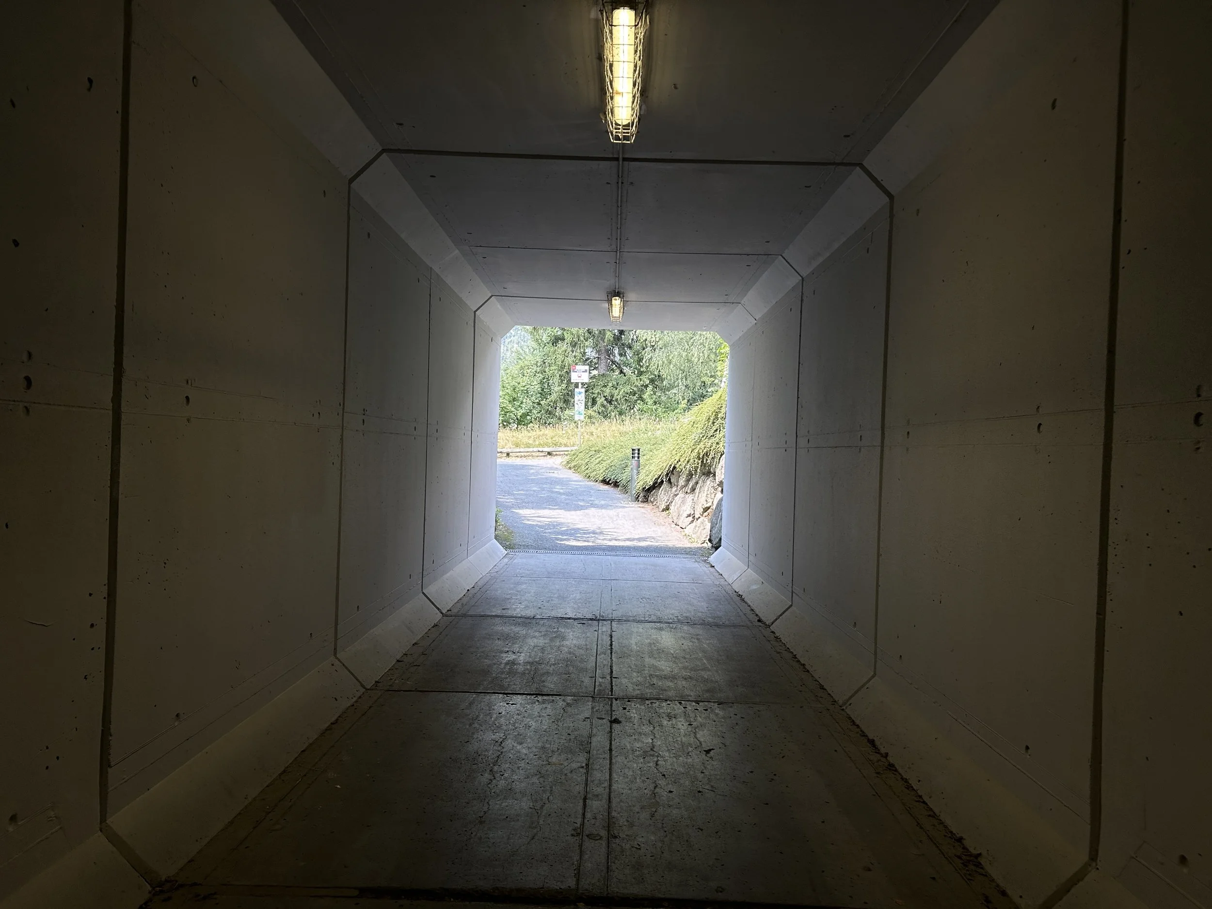 LOC_804_TUNNEL_13.JPG