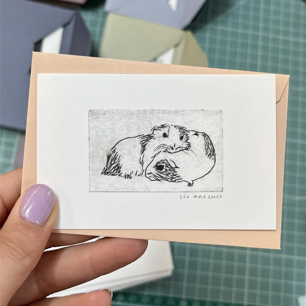 miniscartes copie-cochondinde.jpg