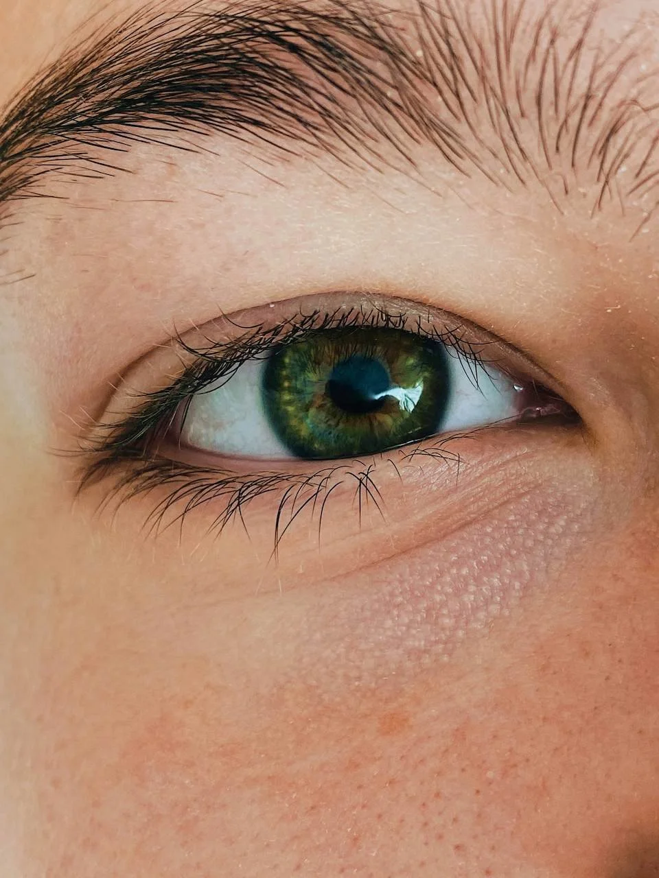 Close up of a human eye. The eye color is deep green with brown patches. The eye is surrounded by dark eyelashes and an eyebrow. The pores of the skin, freckles, and dark spots are also visible.