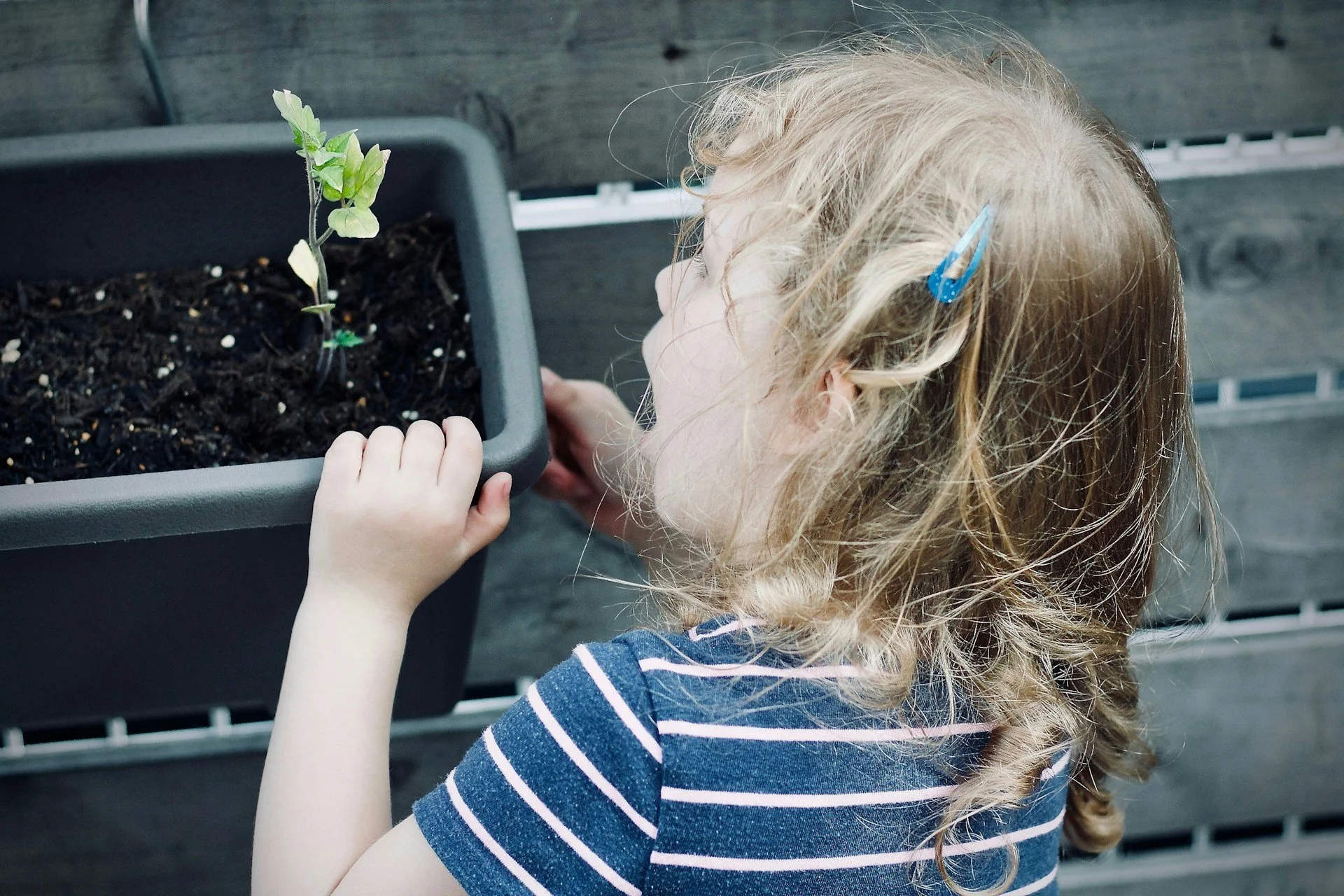 Awe is Contagious; You Catch it from Kids