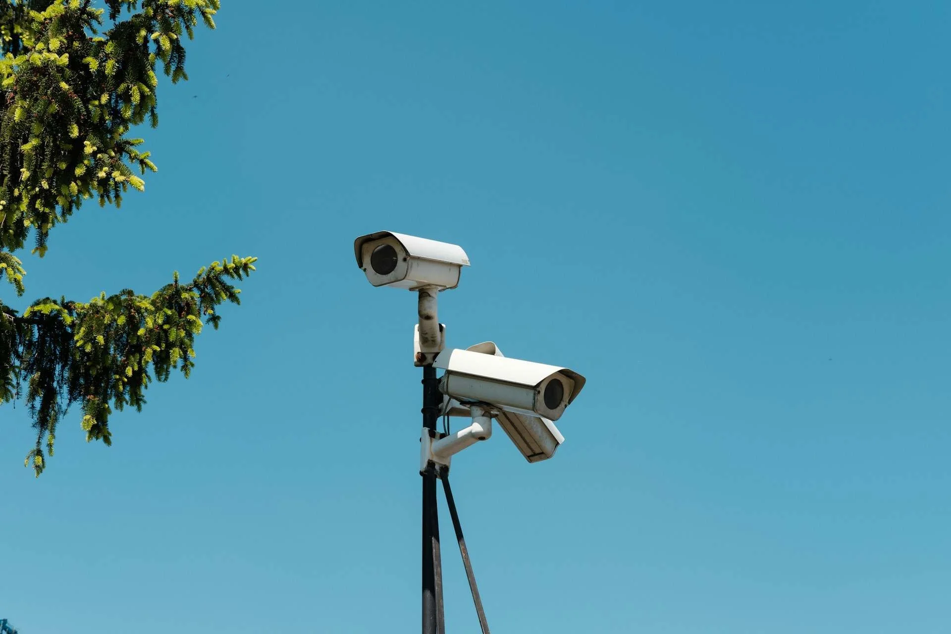 Three white surveillance camers atop a black pole stand against a bright blue sky. Each camera is pointed in a difference direvtion. A tall tree on the left side of the frame makes a contrast to the artificial nature of the surveillance structure.