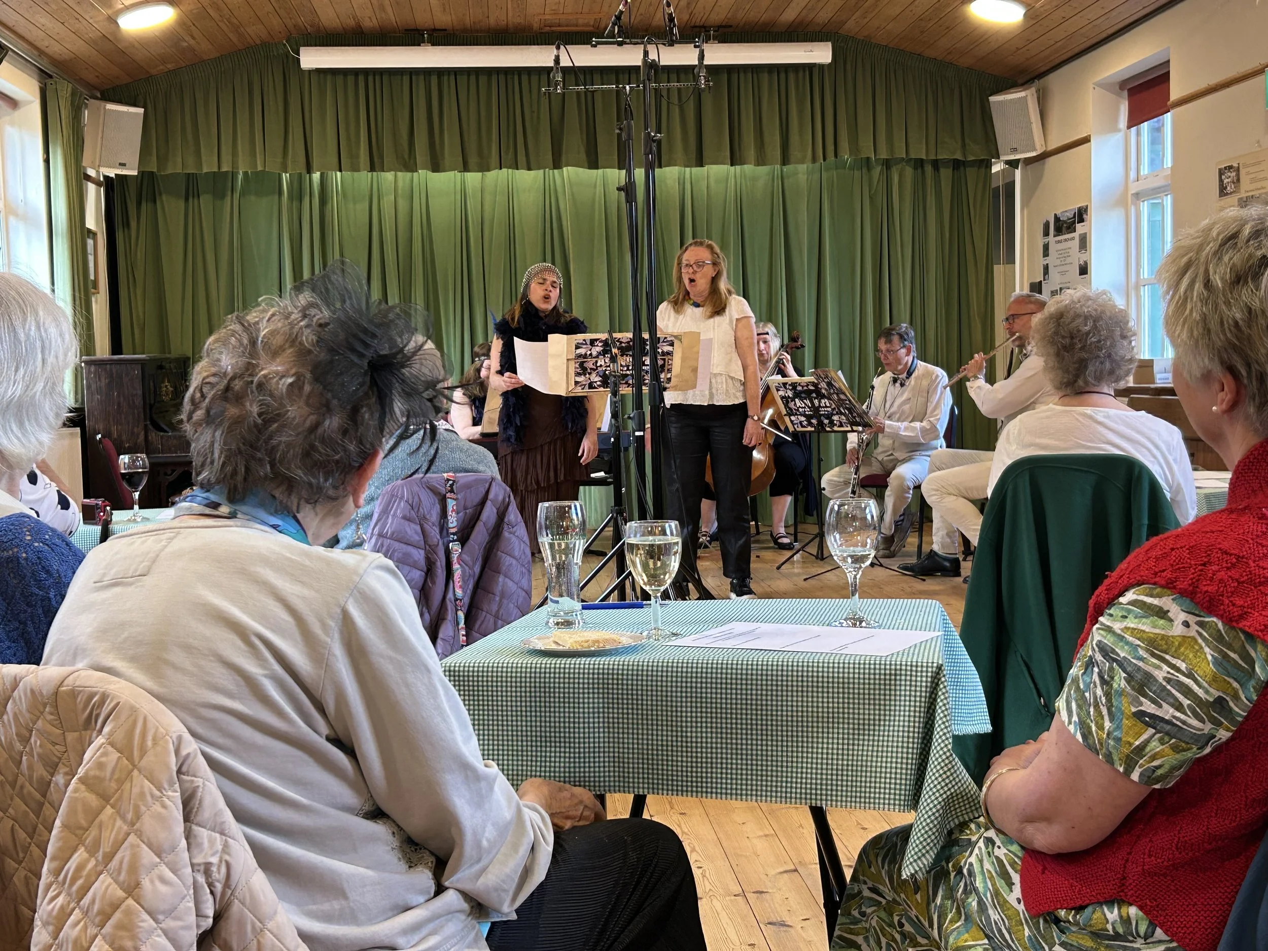 Aspidistra Orchestra Concert 