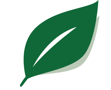 Screenshot 2024-07-01 134937.png