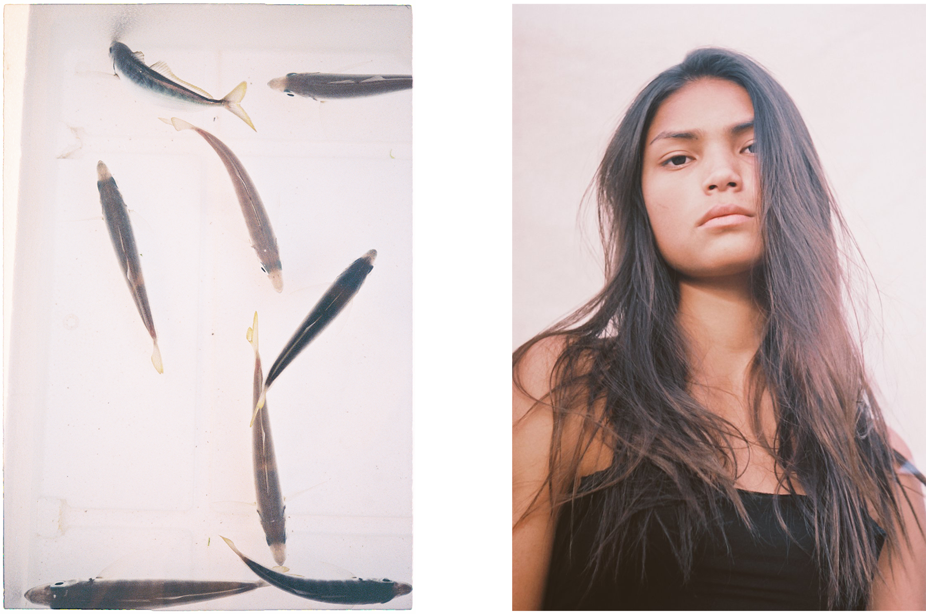 Sarina + Fish diptych 1200px.png