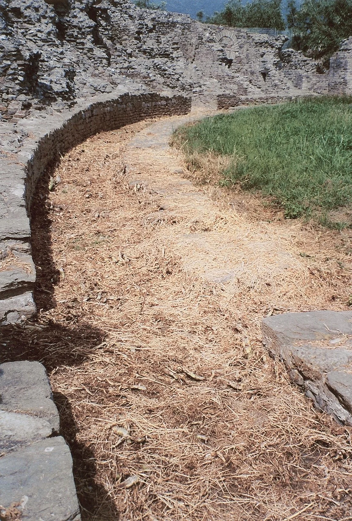 The Moated Arena