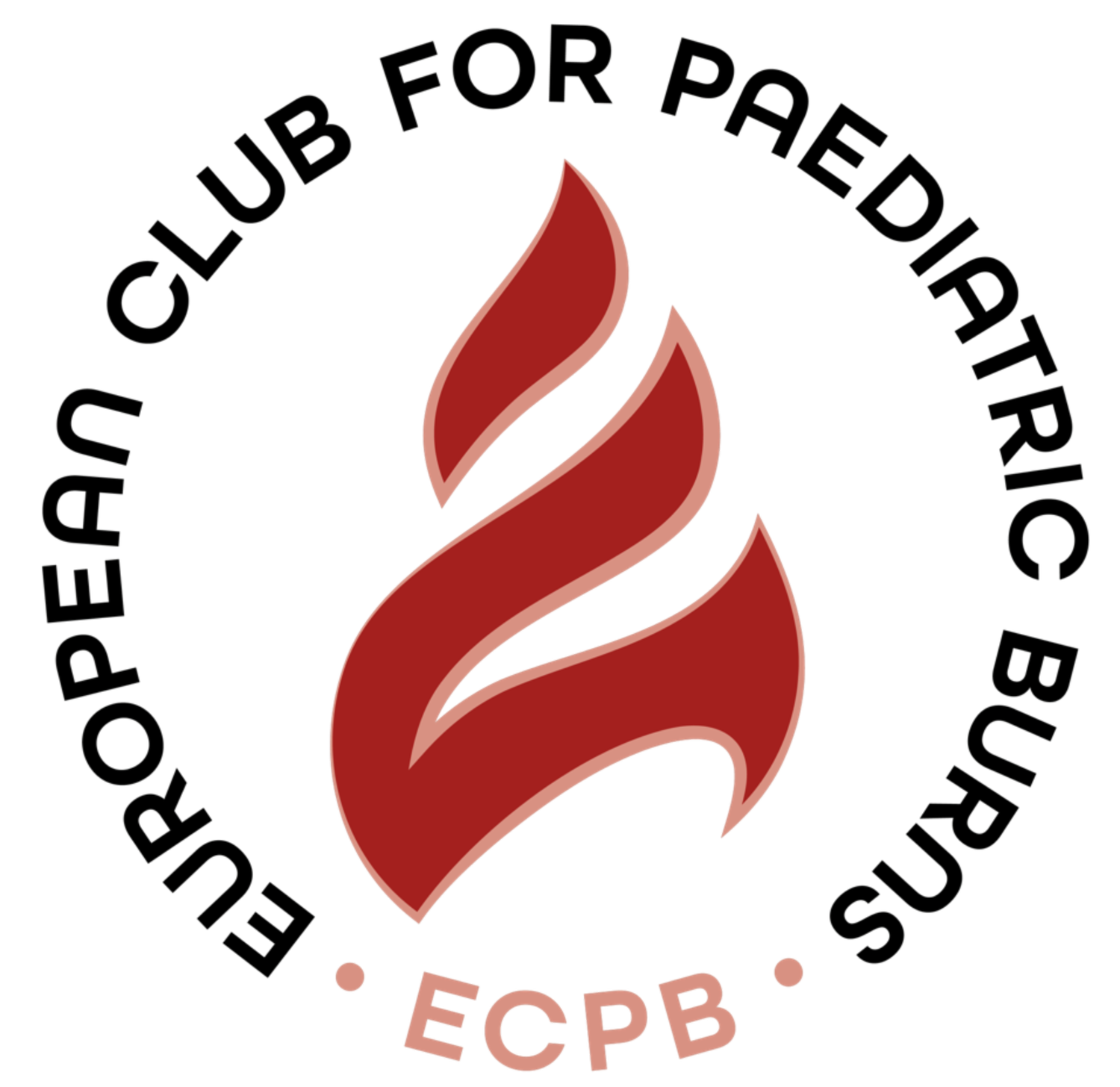 European Club for Pediatric Burns ECPB