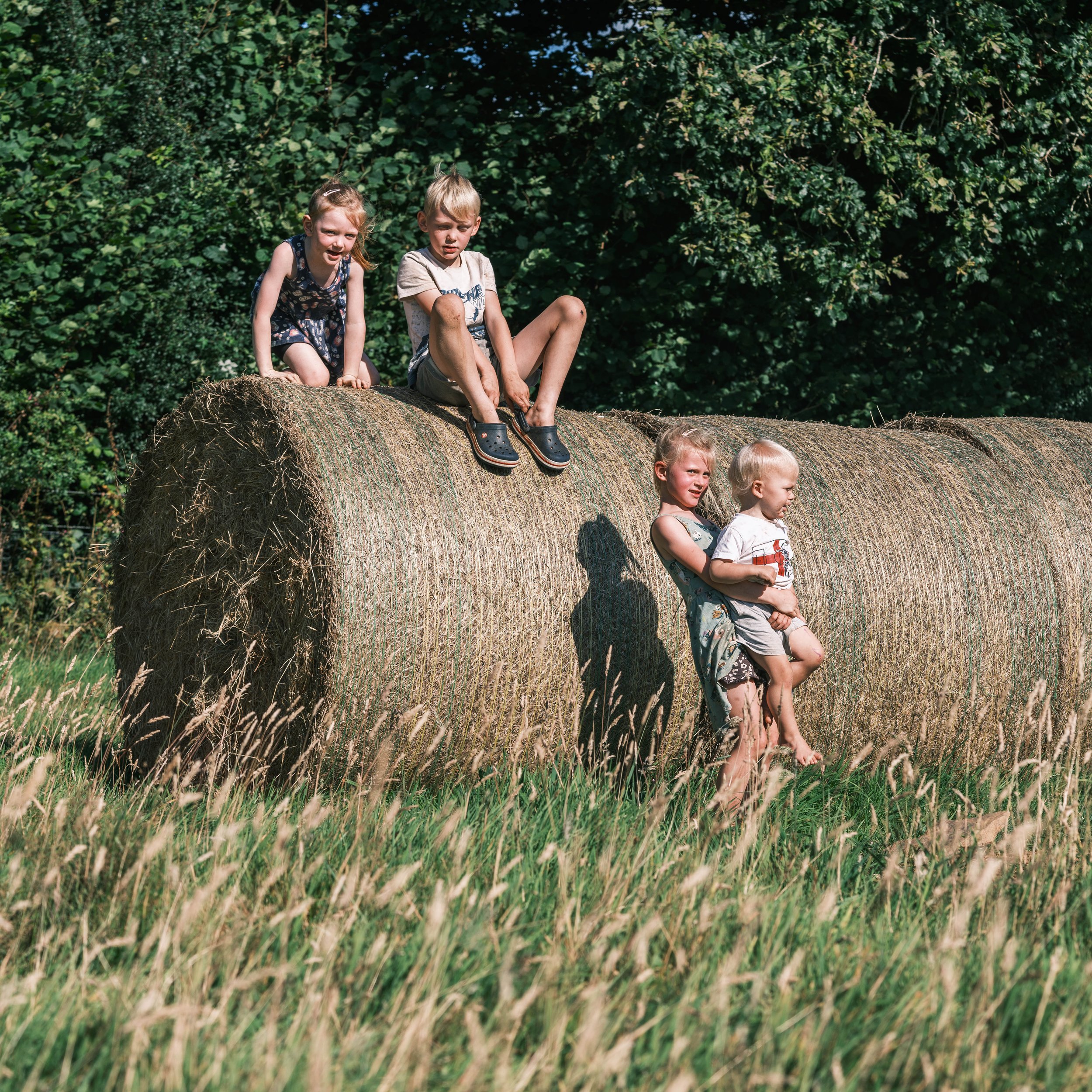 2024 08 12 Wheal Farm-10.jpg