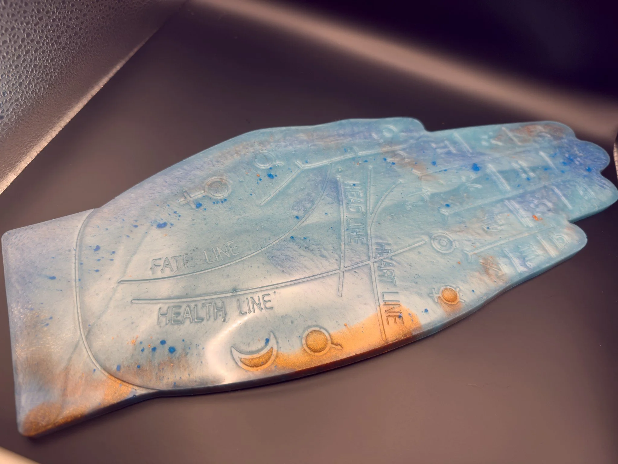 Palm(1)_under20MB.jpg