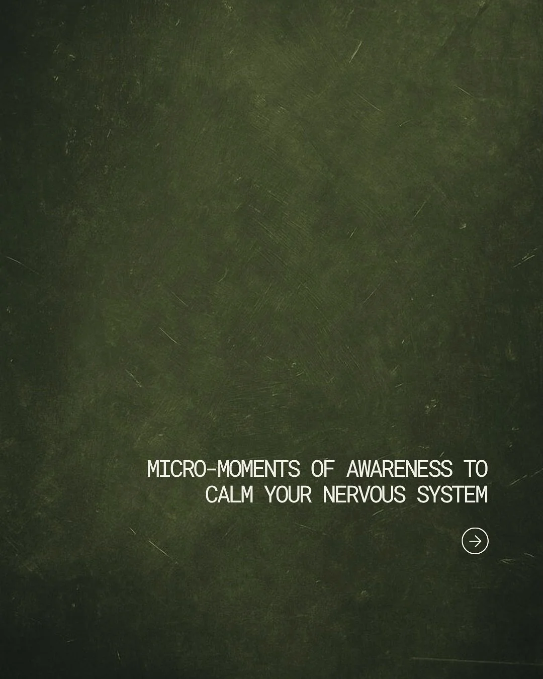 Micro-moments matter.
When you bring awareness back to your body, your system begins to regulate. These small, intentional pauses help reduce stress signals and restore balance throughout the day. Regulation starts with awareness 🌿

&bull;

Pequenos