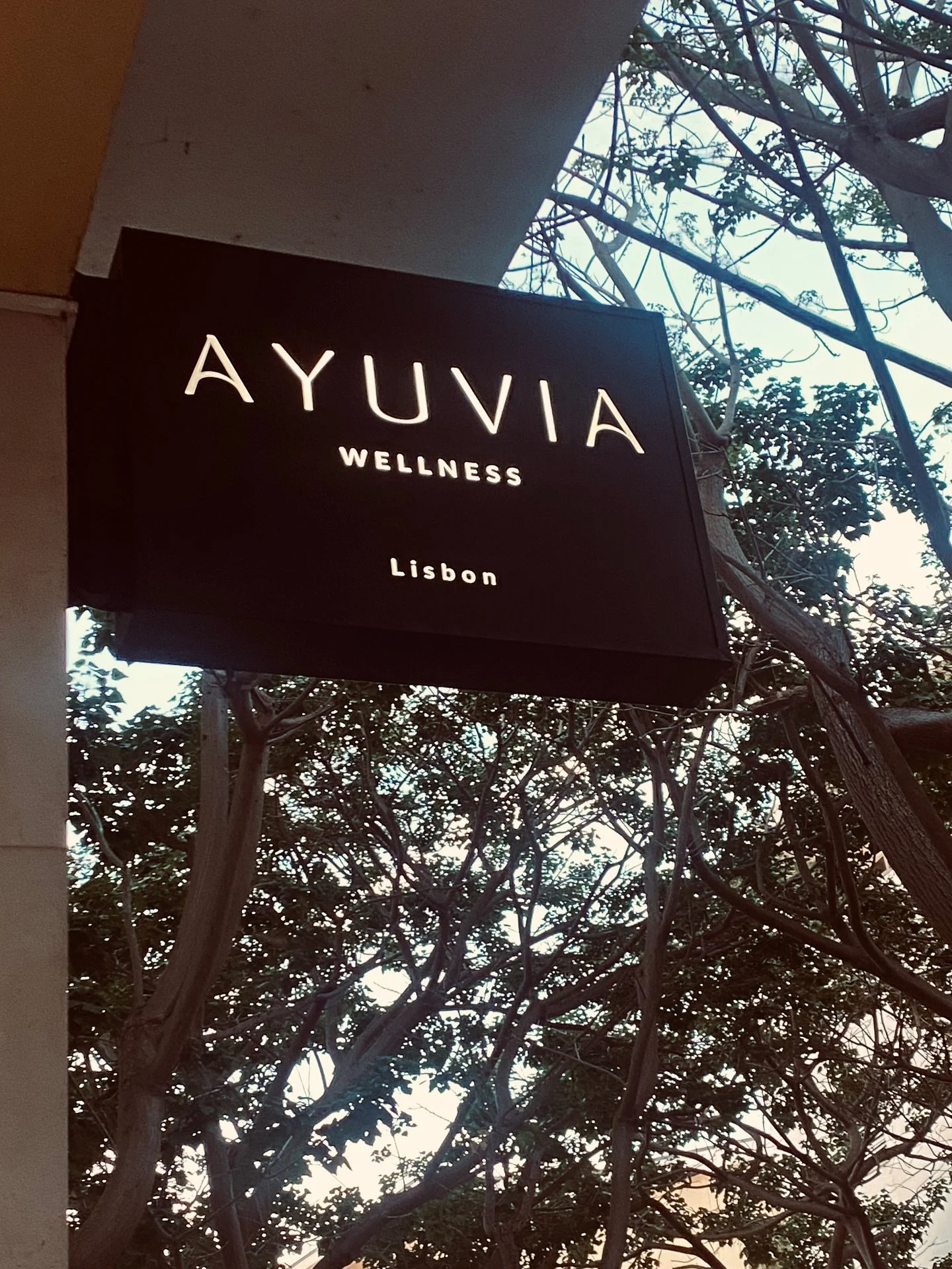 Our new home is on the way. AYUVIA 🌿 Opening soon.
-
-
-
#ayuviawellness #ayuvialisbon #modernwellness #intelligentwellness
