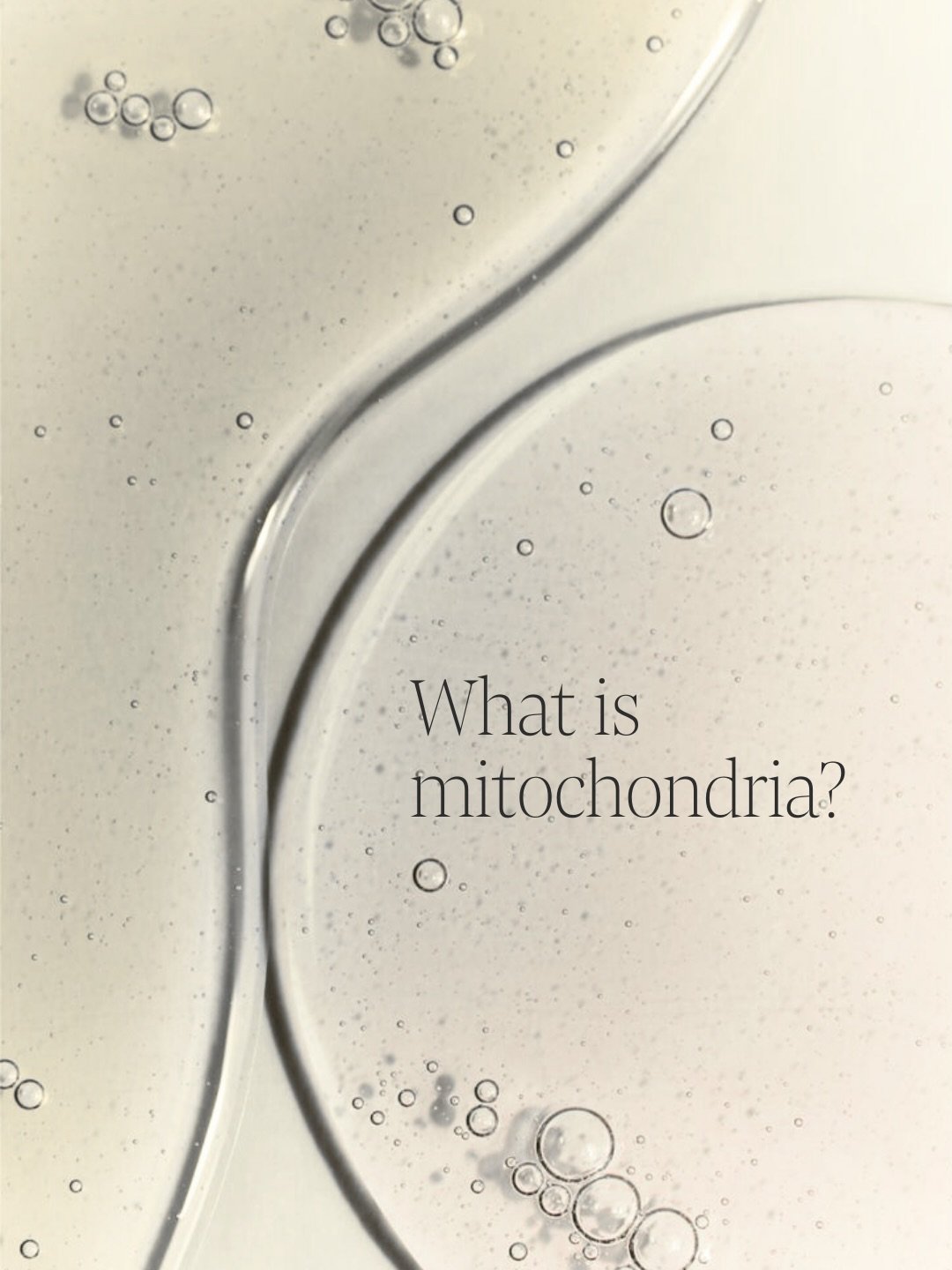 Energy is a biological process, not a mindset.

It begins at the cellular level.

Mitochondrial function influences how the body repairs, performs and ages.

Red &amp; Near-Infrared Light Therapy is designed to support cellular energy production.

Su
