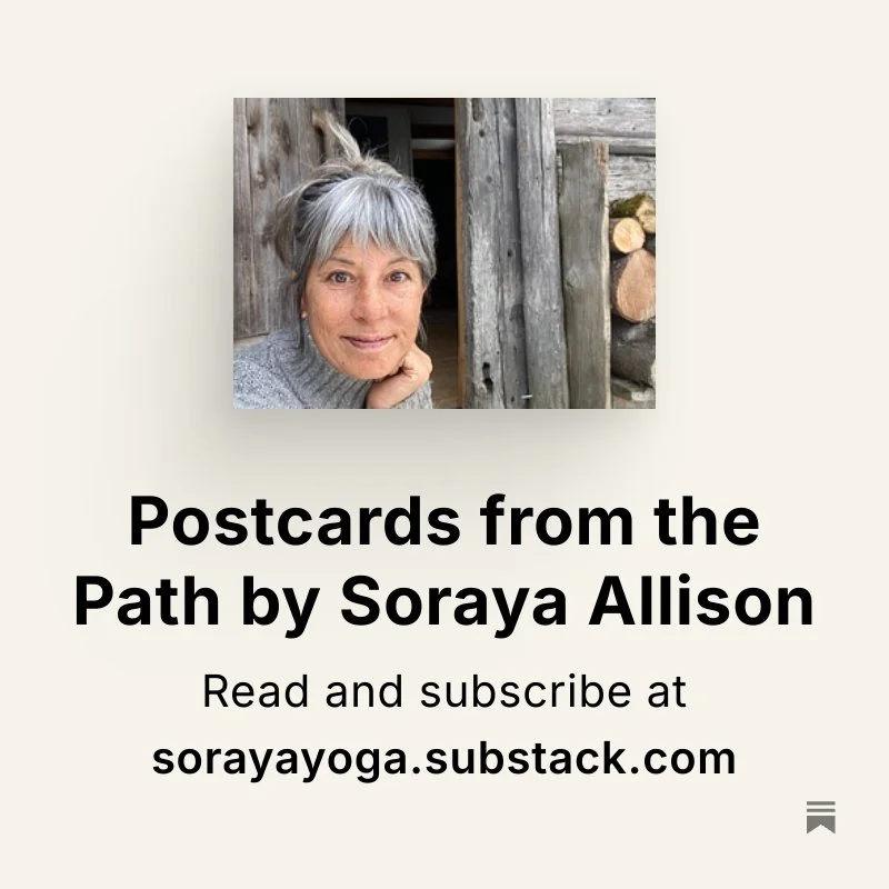 sorayayoga on substack