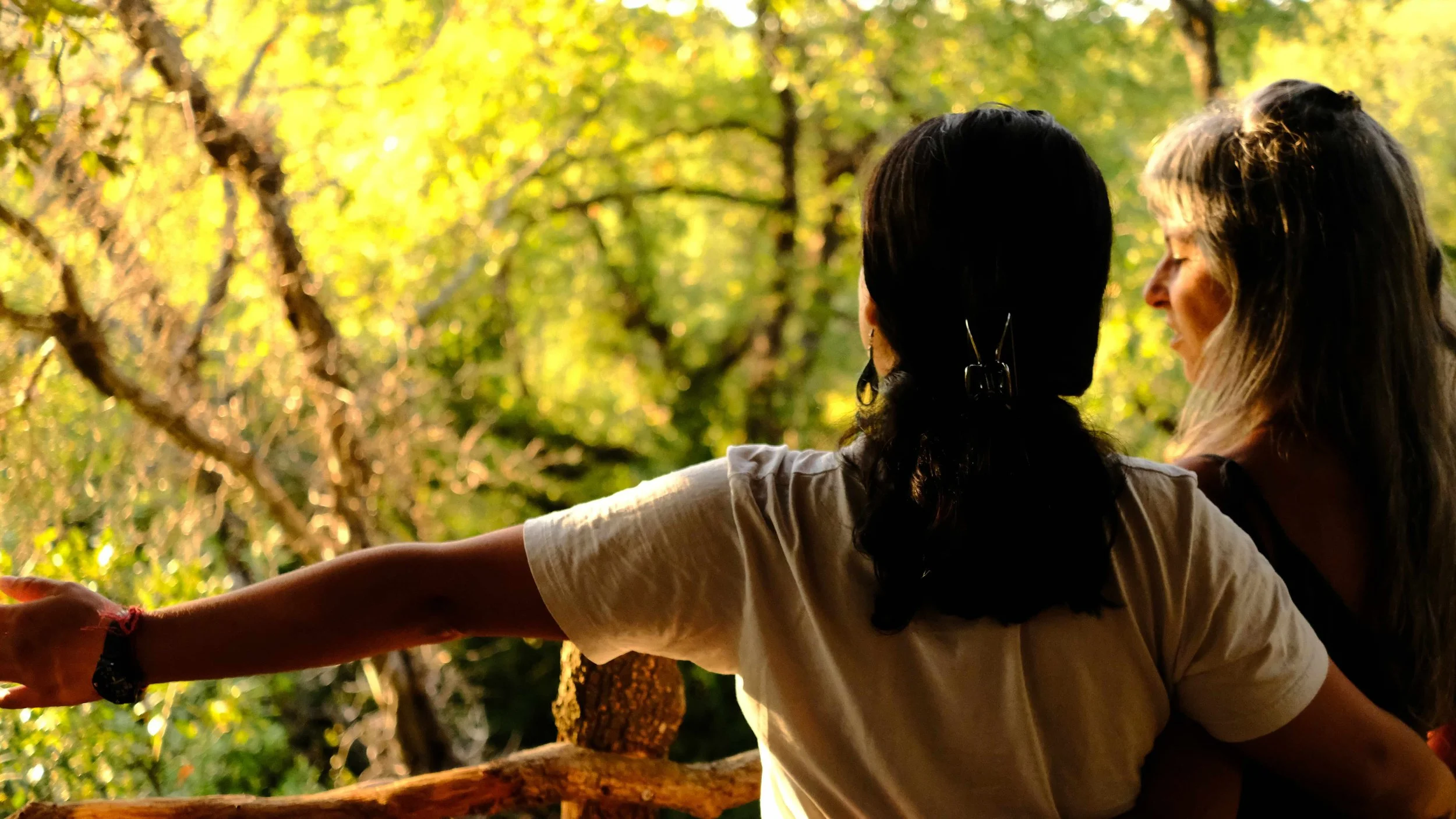 Two women are leaning against a tree in a forest with sunlight filtering through the green leaves, sharing a quiet moment.