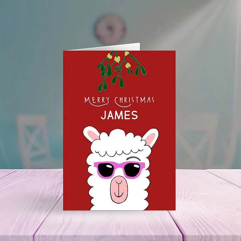 christmas-llama-lifestyle.jpg