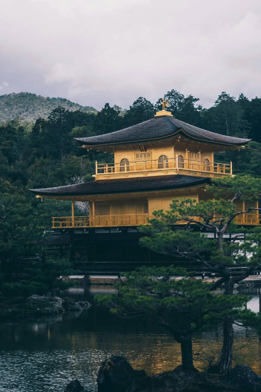 castle in Japan location of protocol leader course in Tokyo