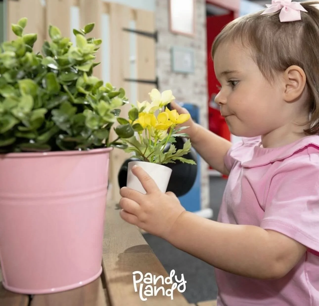 Welcome to PandyLand &ndash; where imagination knows no bounds! 🌈✨

Upstairs, our magical role play area is designed to spark creativity and support child development through imaginative play. 🧸🦸&zwj;♀️🎨
With 70 minute sessions running throughout