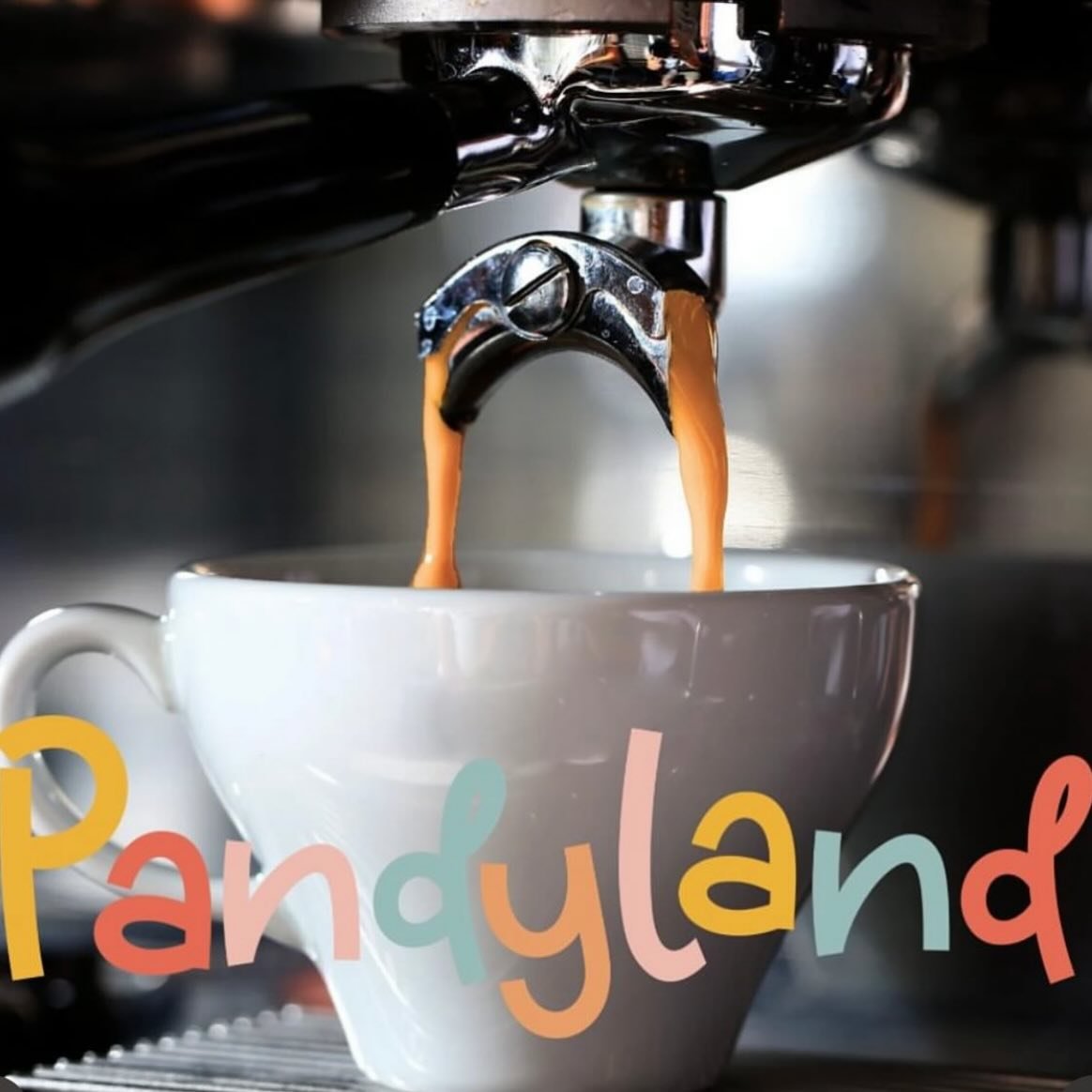 Extra hot? Iced? Syrup shot?
Brown or white sugar?
Soy, almond, oat, or good old cow&rsquo;s milk?

Whatever your coffee vibe is&hellip;
We got you. ☕💁&zwj;♀️

Your drink, your way &mdash; always at PandyLand. 💚