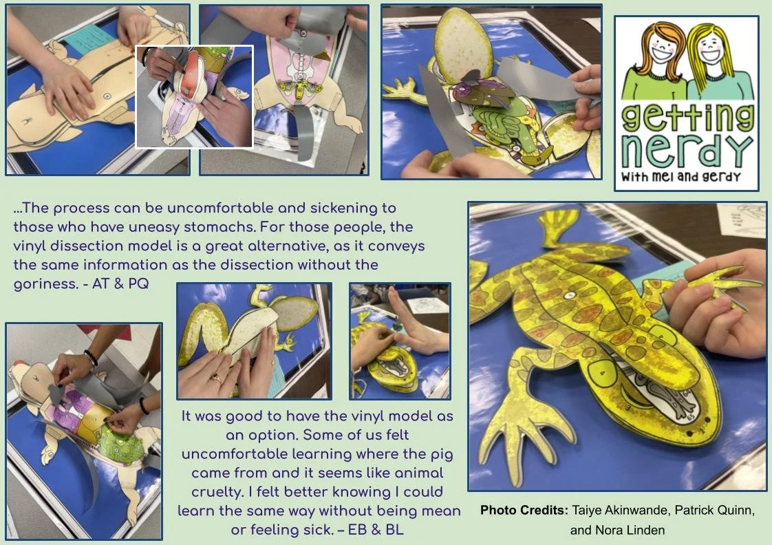 Ethical and Inclusive Dissections with “Scienstructables” — Glen Ridge ...