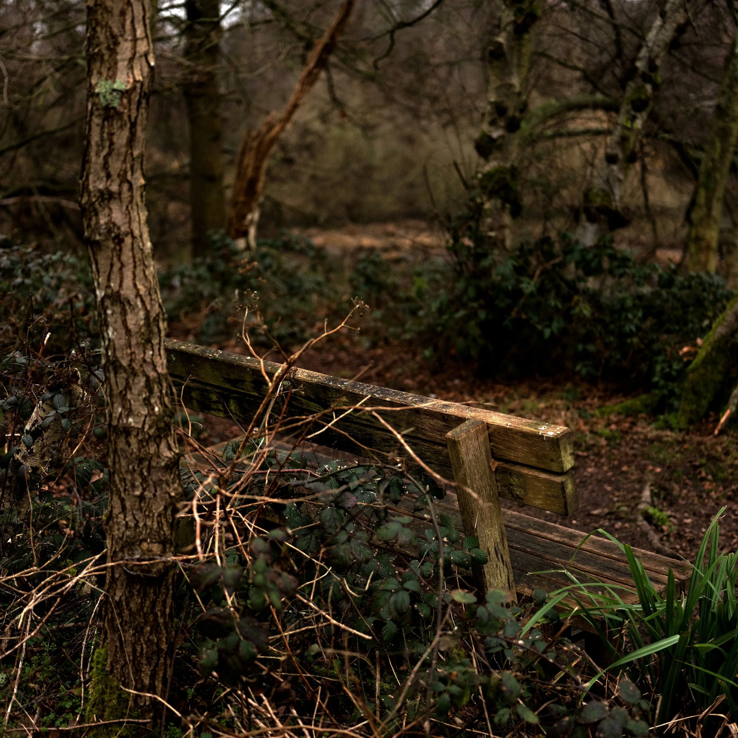 Bench - 0262.jpg