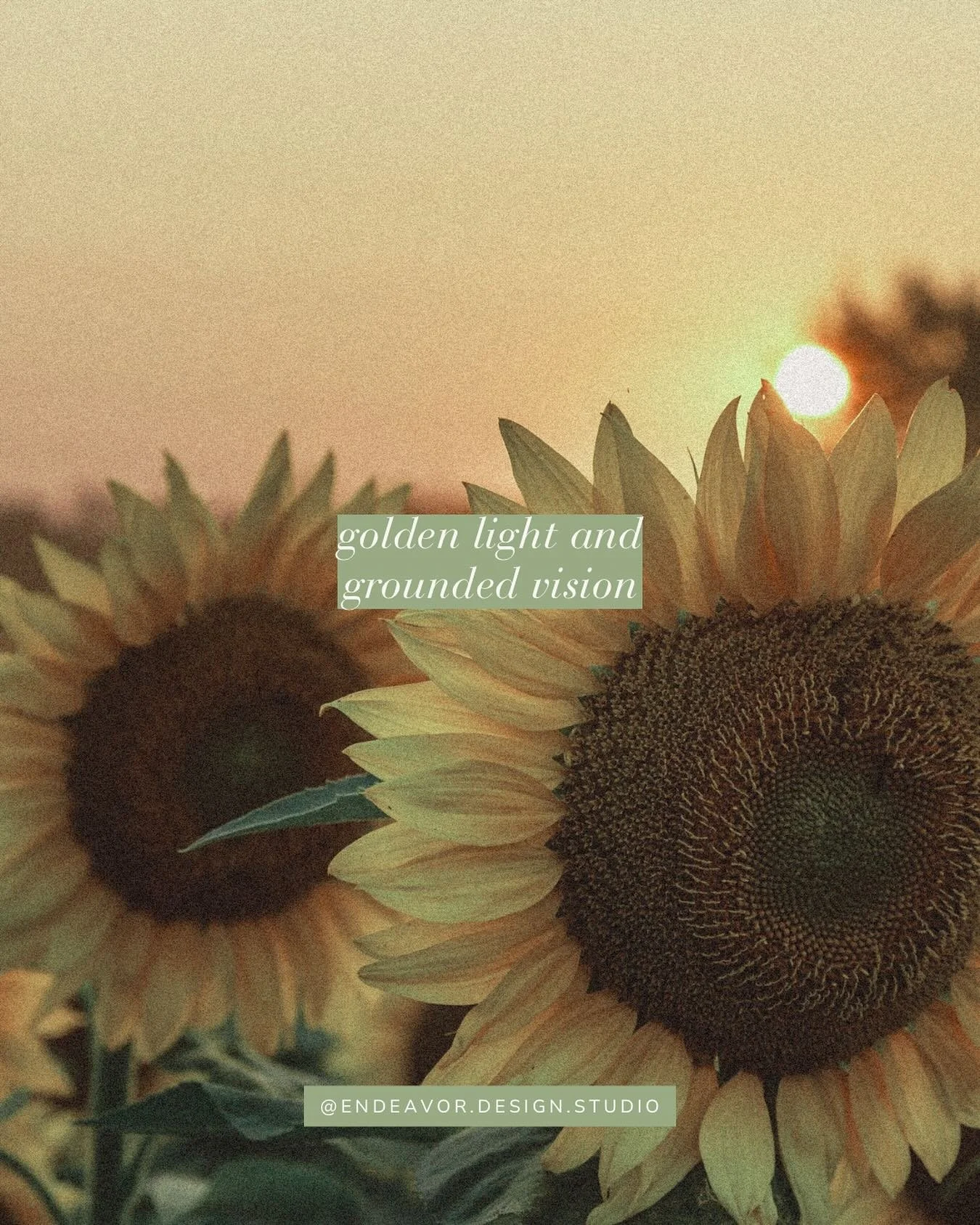 🌻 Golden light. Steady growth. Quiet, intentional moves. 🌻

This season is reminding me:
the most powerful shifts don&rsquo;t always come with fanfare.
Sometimes it&rsquo;s the subtle recalibration;
a redefined boundary,
a system that supports you 