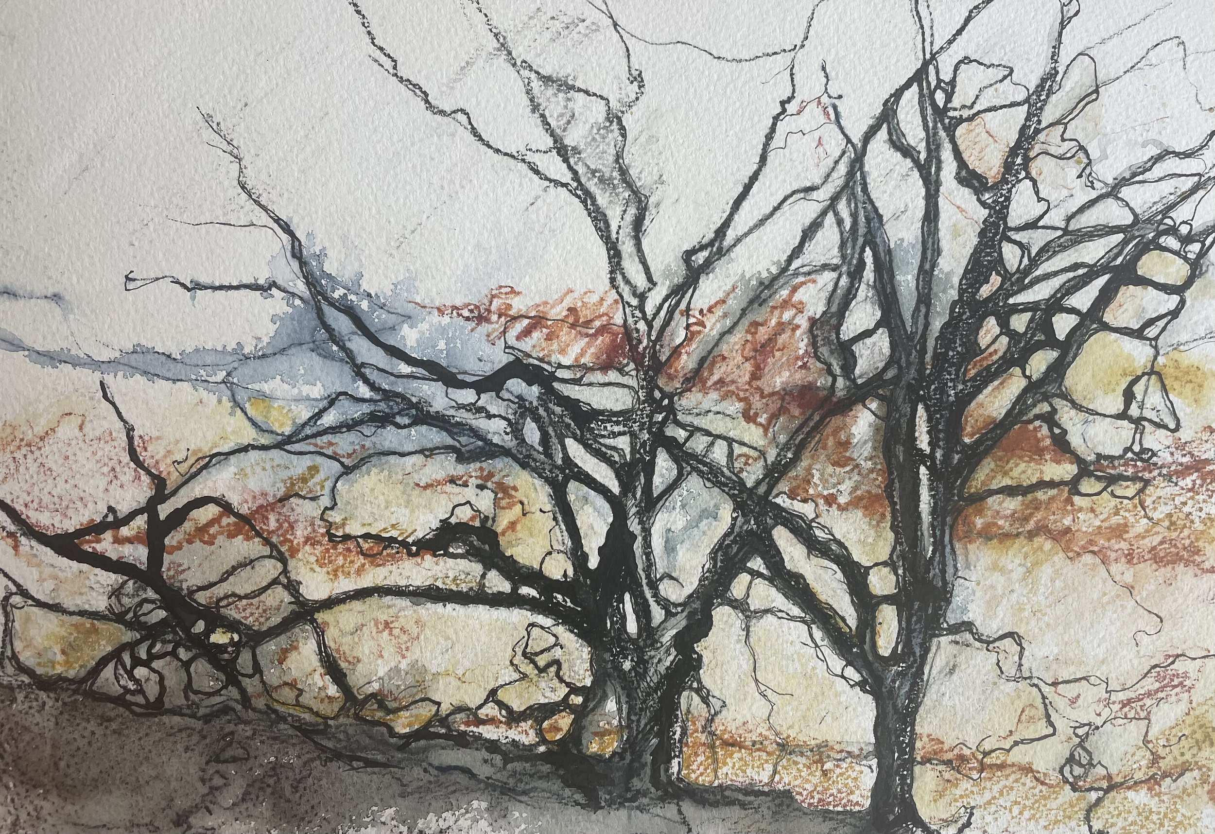 Tree Study at Dinorwic